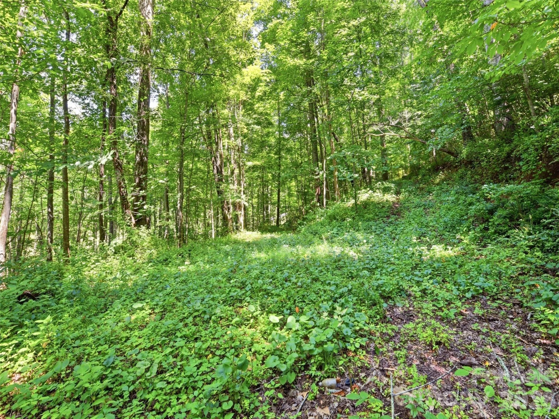 252 Big Stomp Road - Photo 46