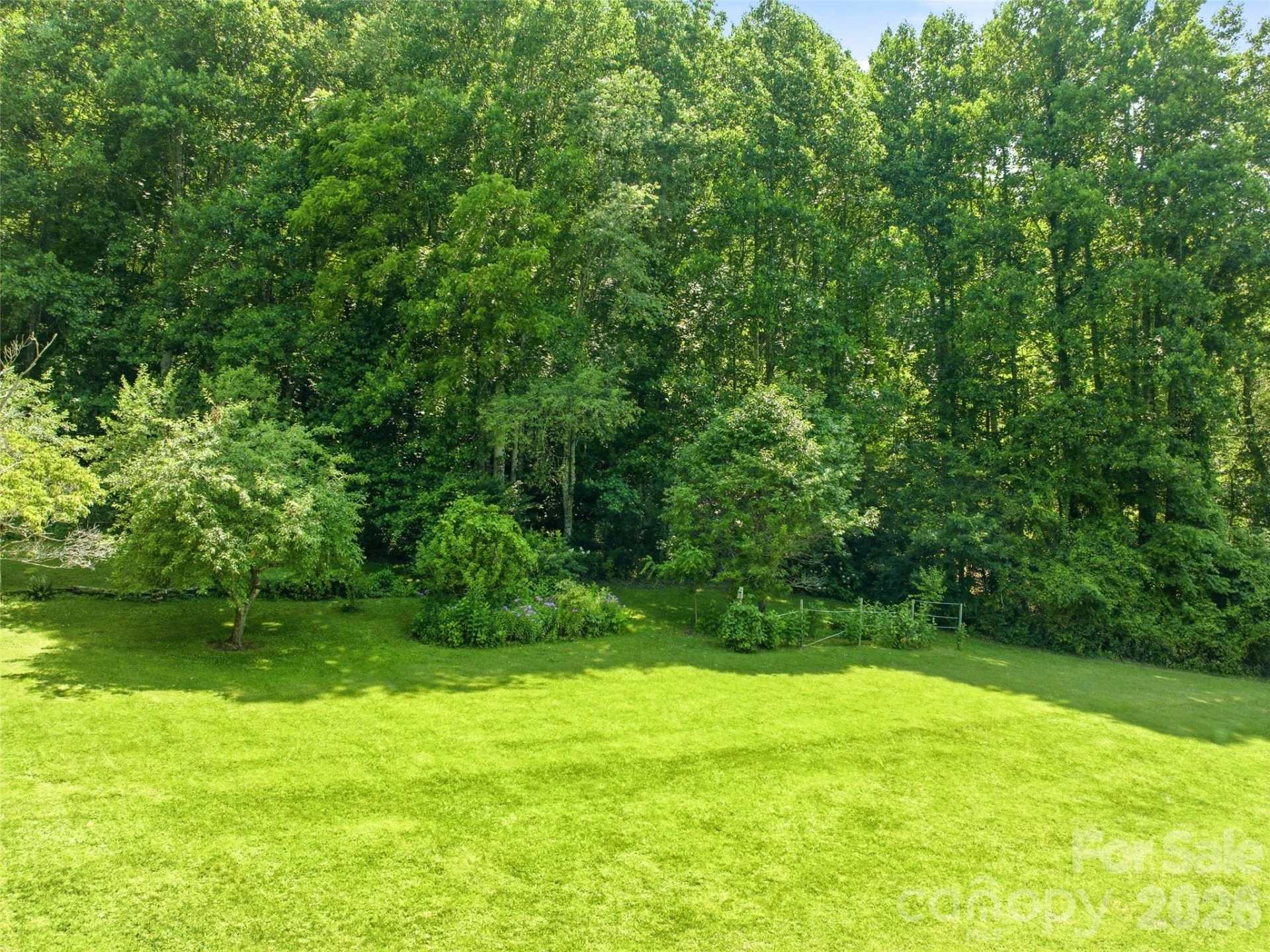 252 Big Stomp Road - Photo 10