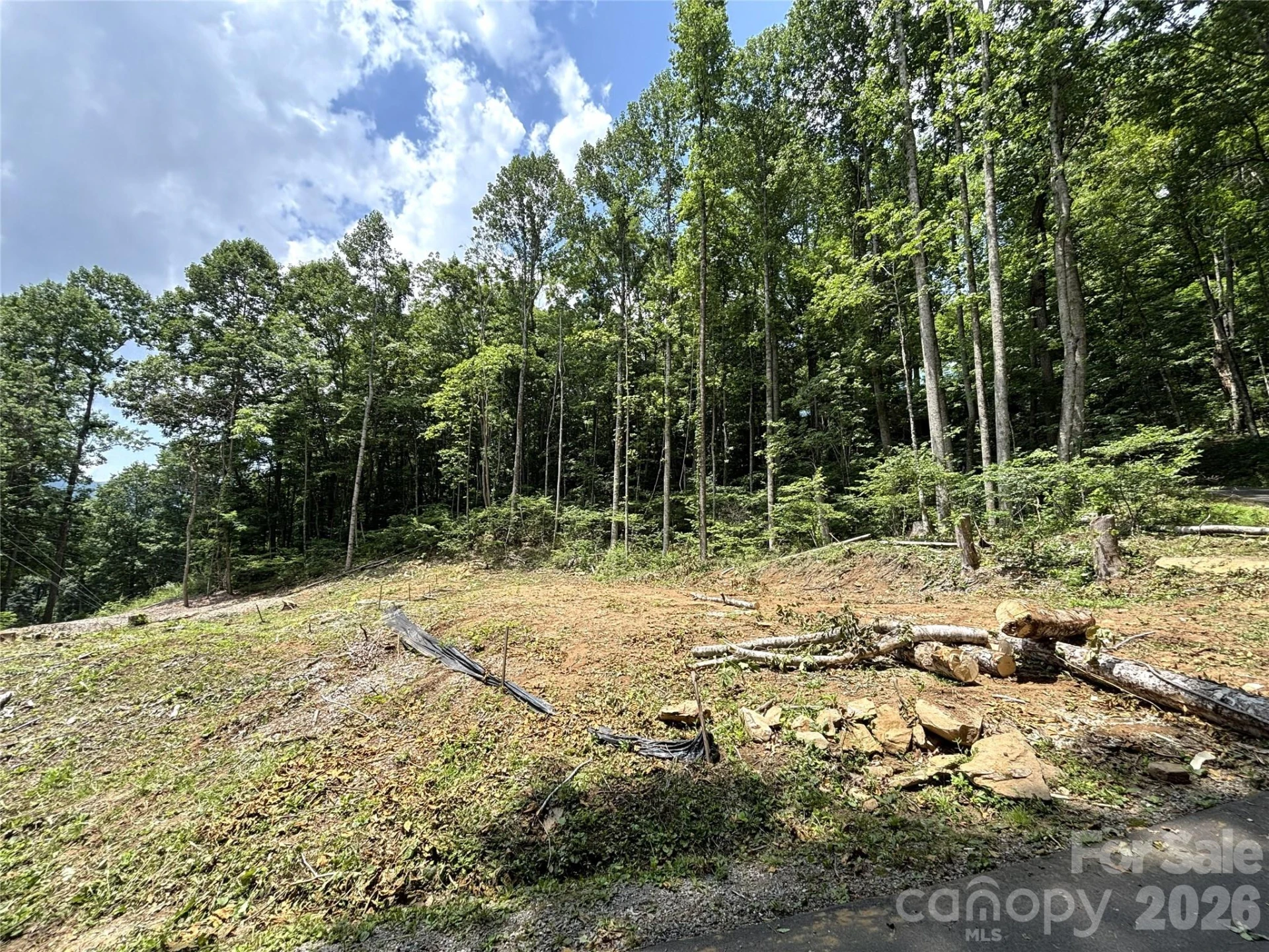 21 Club Crest Drive - Photo 11