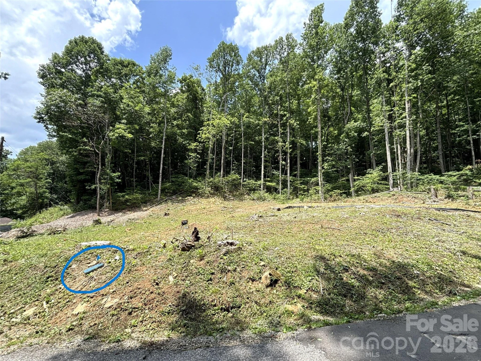 21 Club Crest Drive - Photo 12