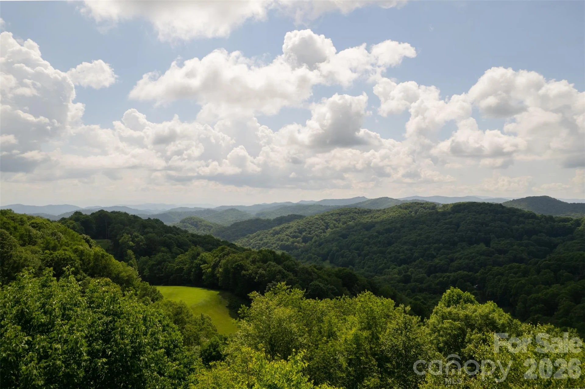 3182 El Miner Drive - Photo 8