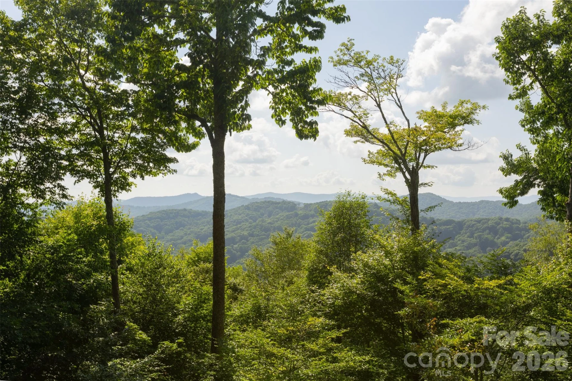 3182 El Miner Drive - Photo 10
