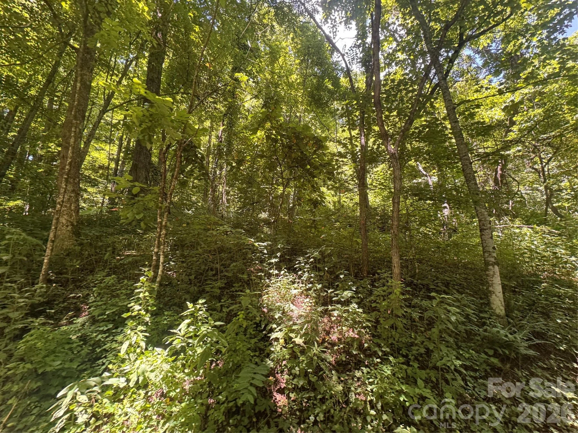 505 Mountainside Drive #27, 28, 29, 30, 31, 32 - Photo 14