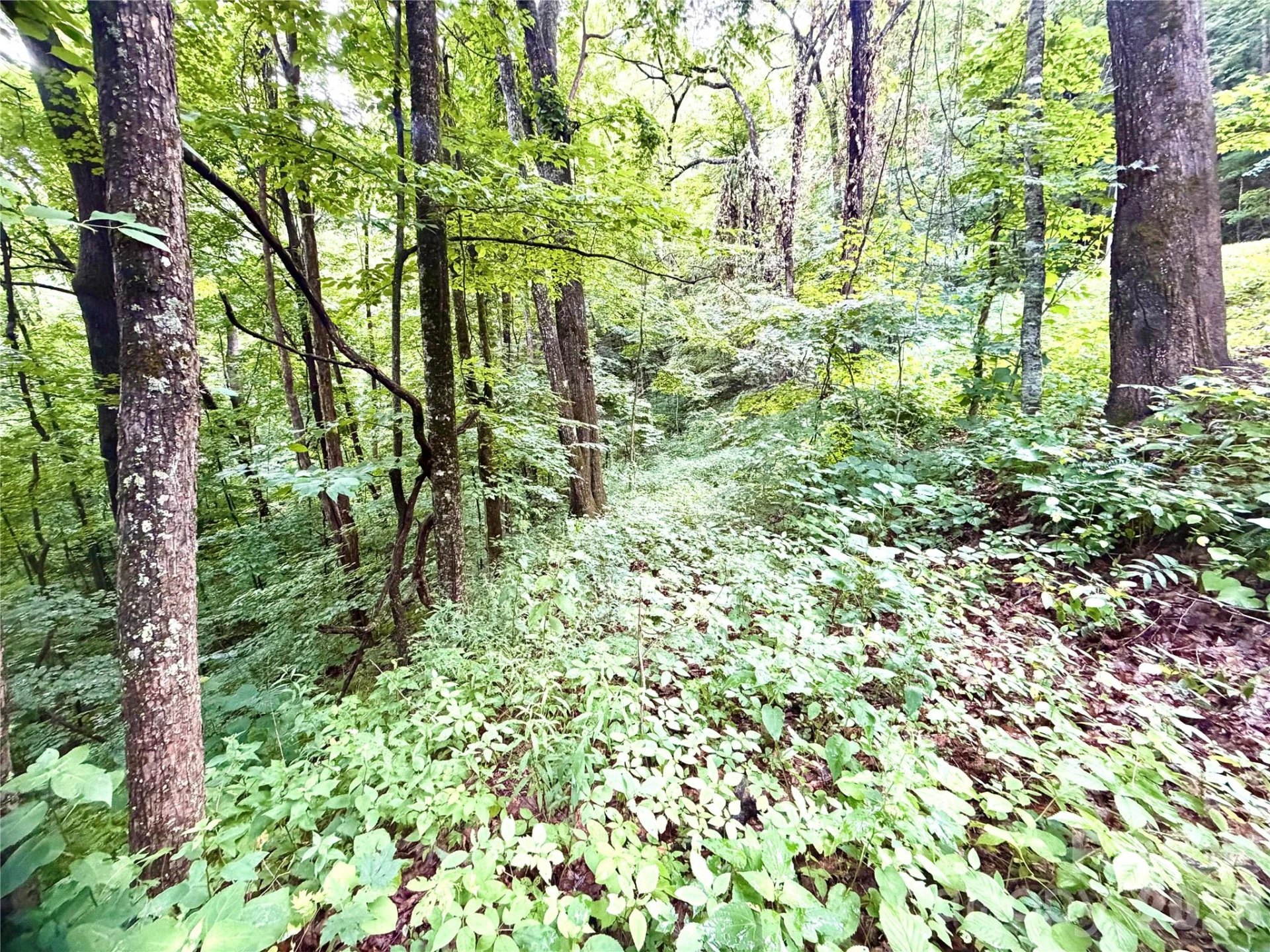 505 Mountainside Drive #27, 28, 29, 30, 31, 32 - Photo 19
