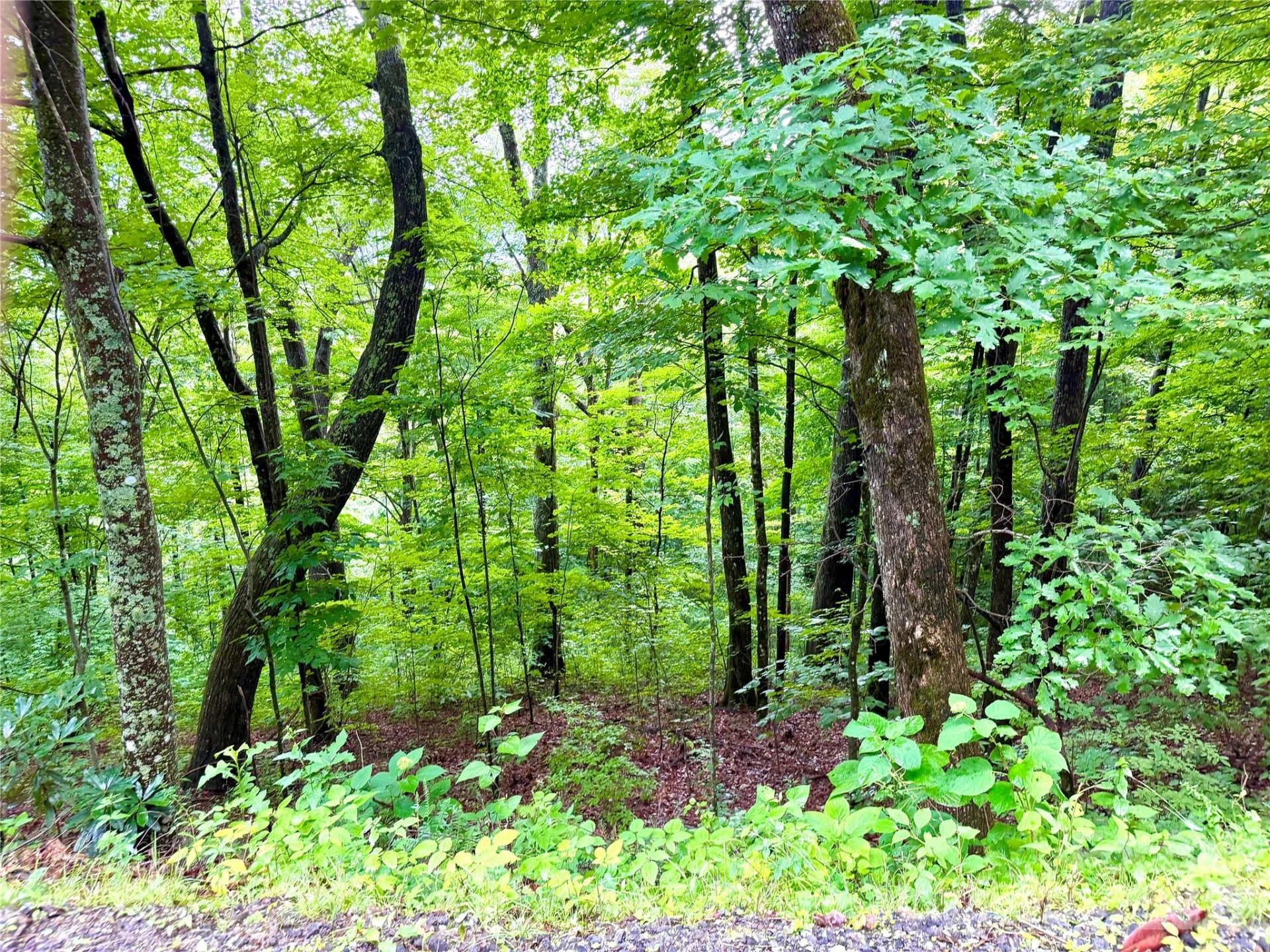 505 Mountainside Drive #27, 28, 29, 30, 31, 32 - Photo 3