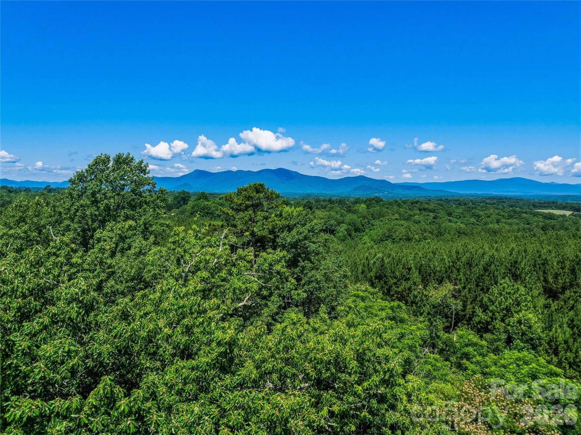 6783 Peniel Road - Photo 15