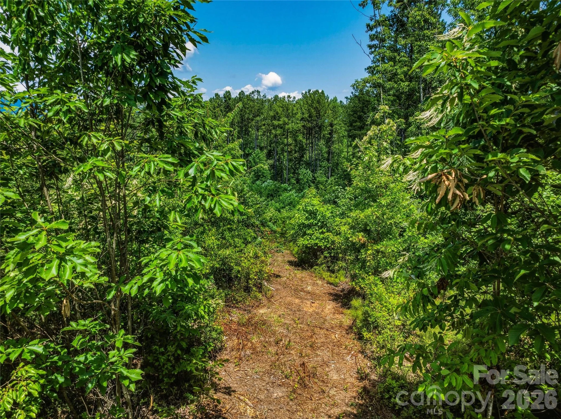 6783 Peniel Road - Photo 20
