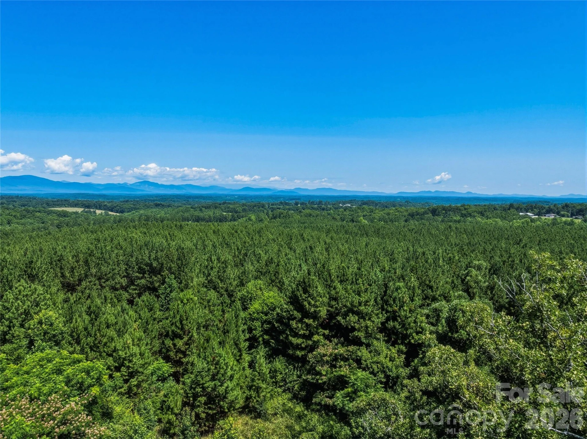 6783 Peniel Road - Photo 24