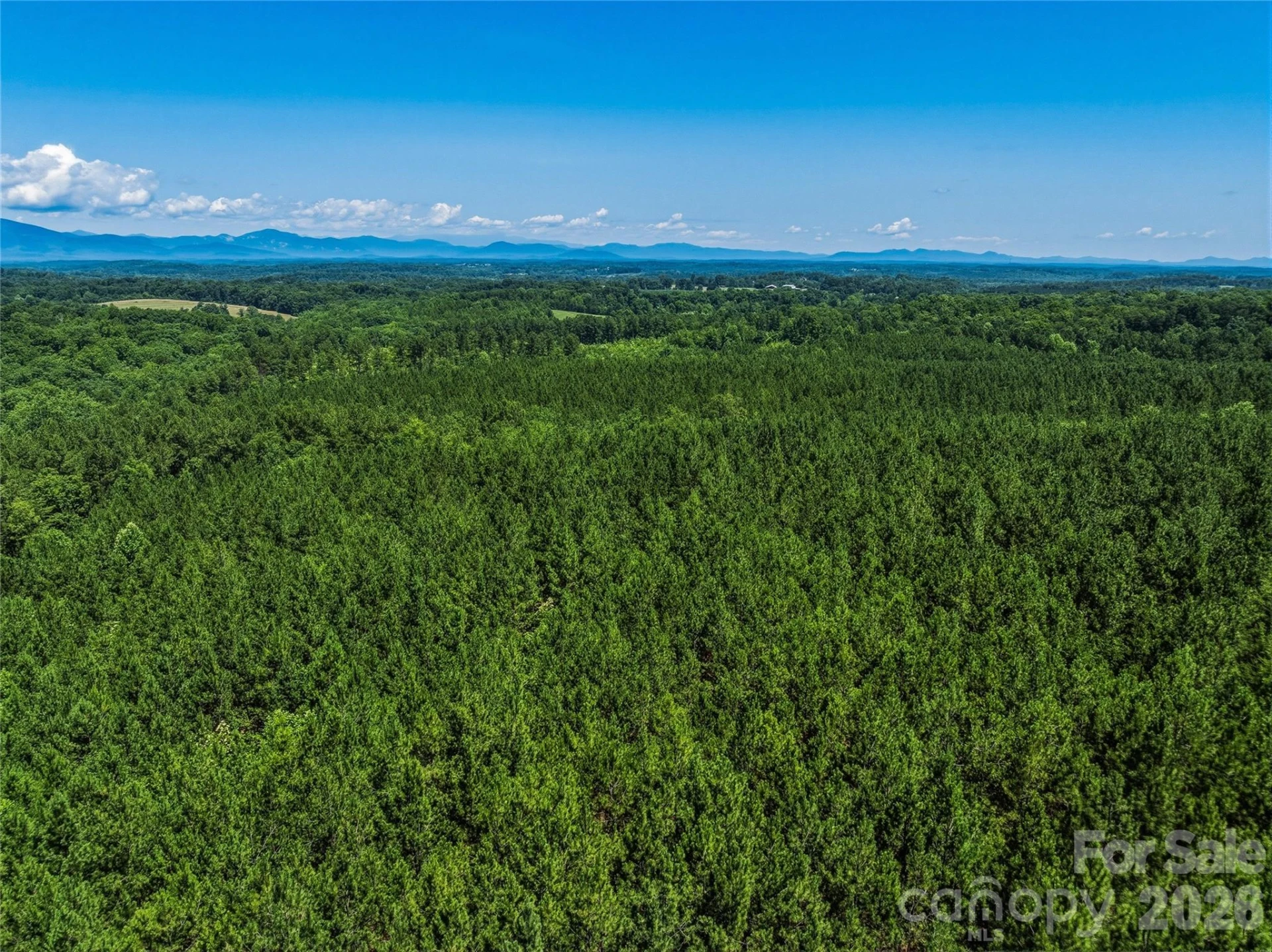 6783 Peniel Road - Photo 26