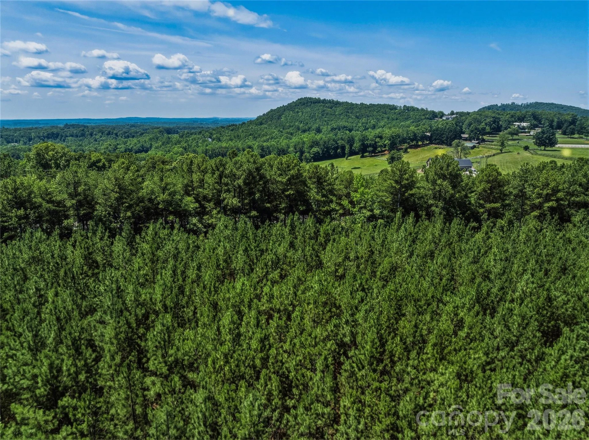 6783 Peniel Road - Photo 31