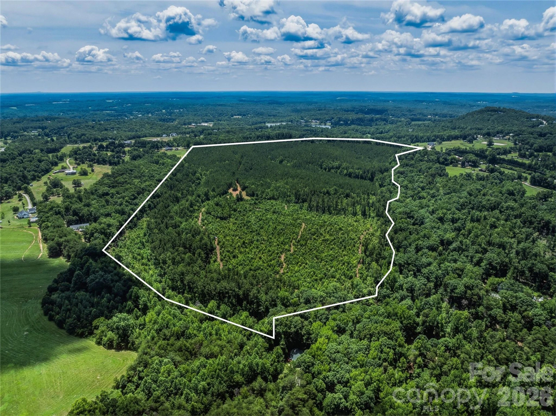 6783 Peniel Road - Photo 10