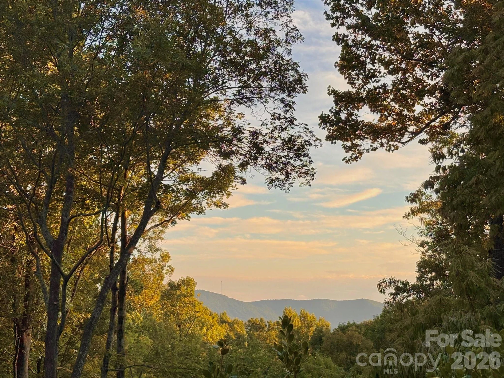 1333 Solomon Circle - Photo 3