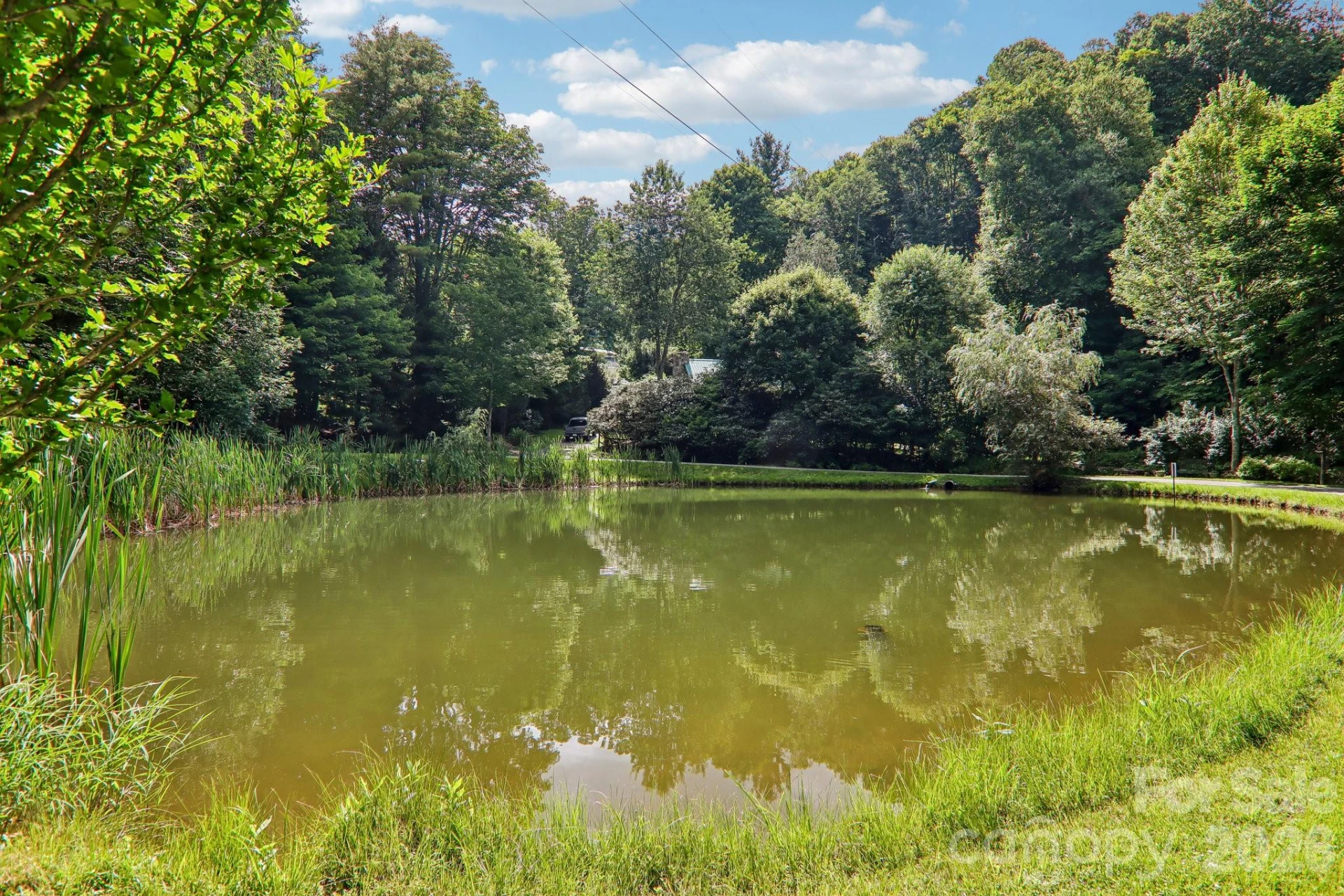 251 Village Lane - Photo 45