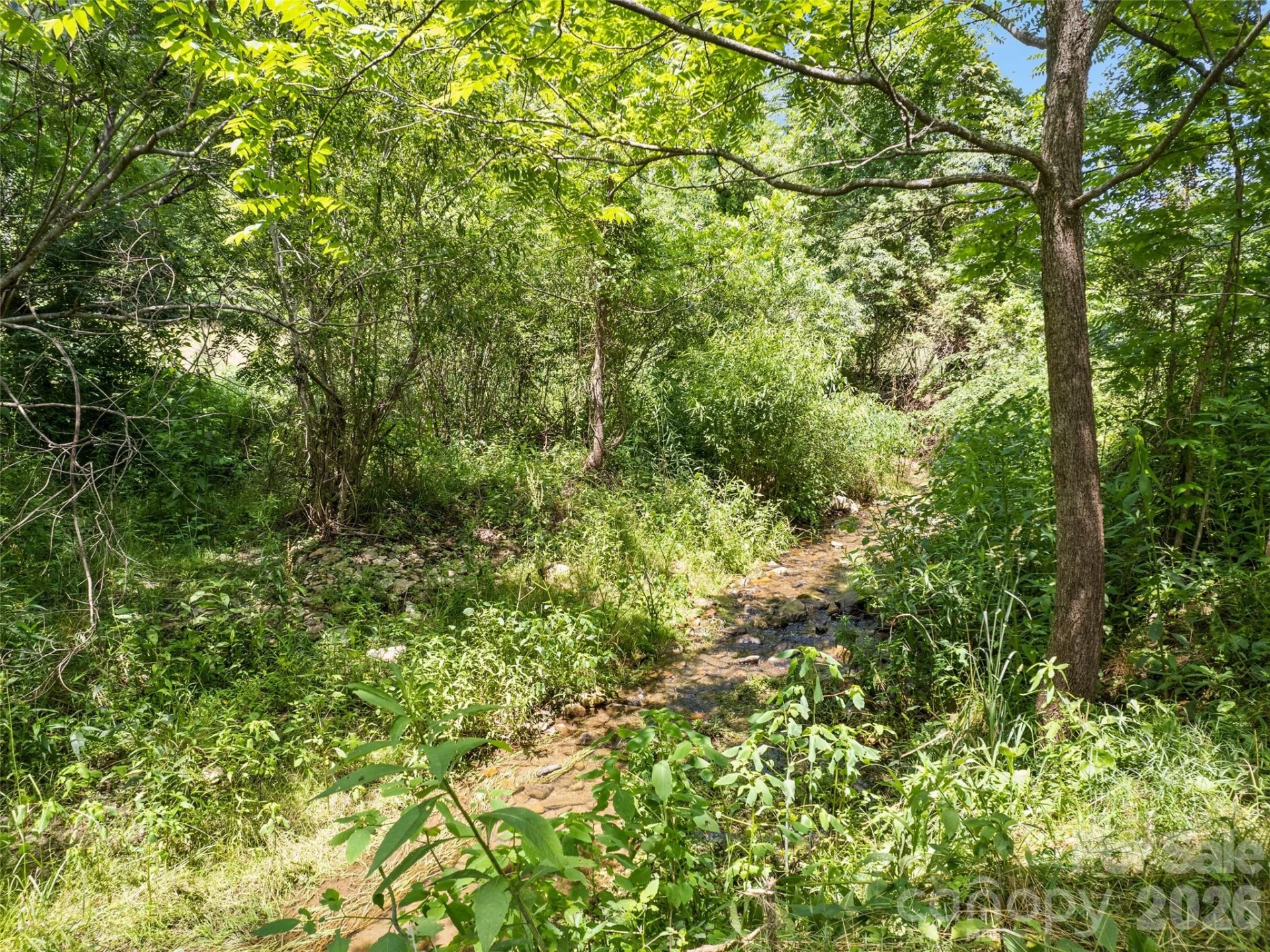 309 Sugar Creek Road - Photo 13