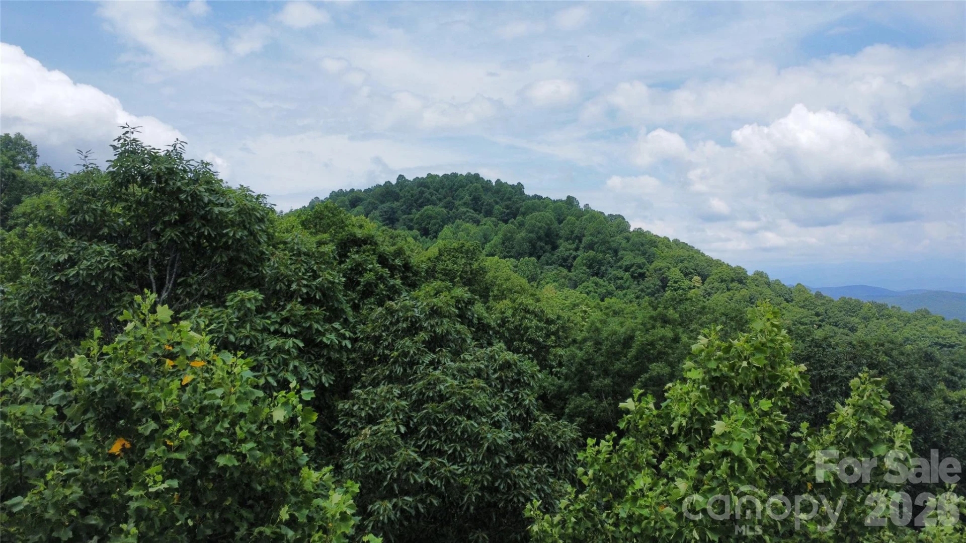 9999 North Pointe Drive #70 - Photo 3
