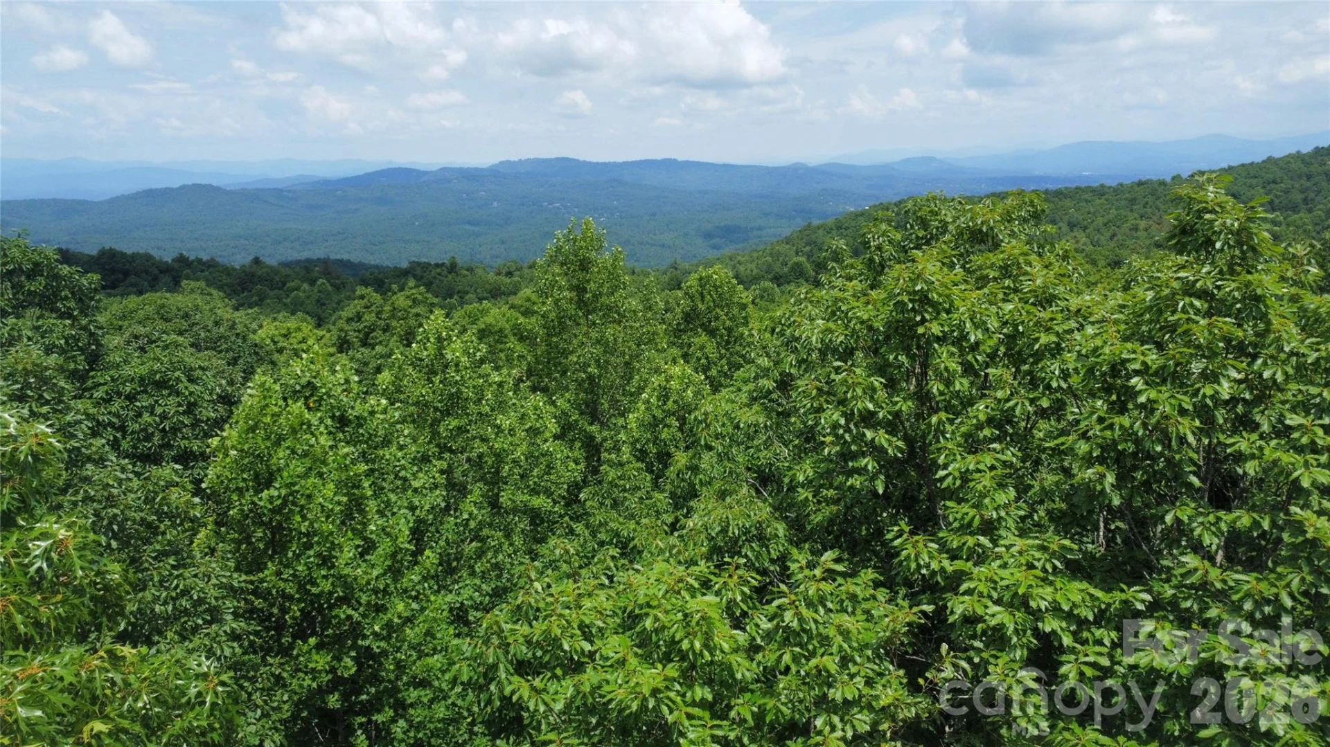 9999 North Pointe Drive #70 - Photo 7