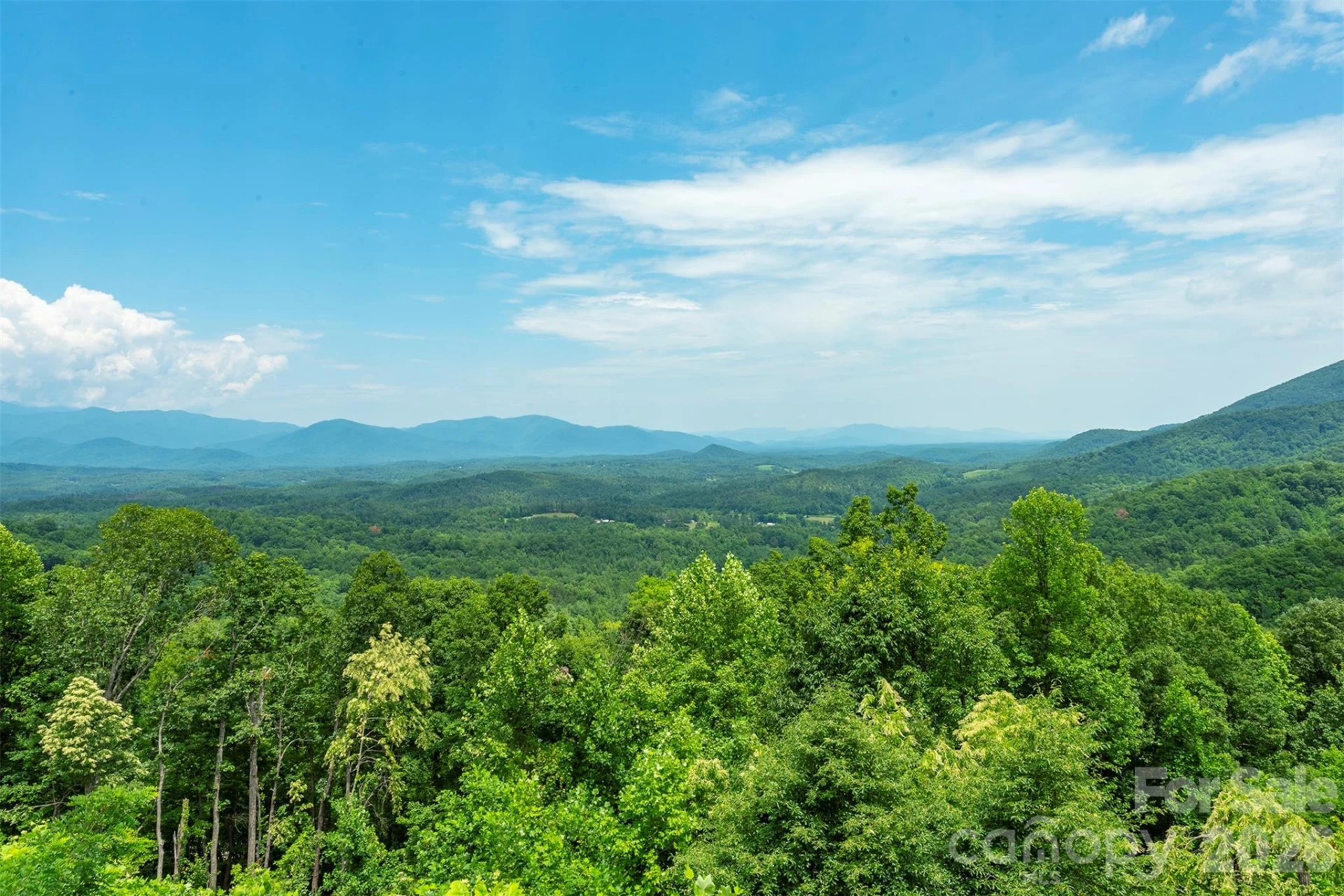 301 Oak Winds Drive - Photo 16