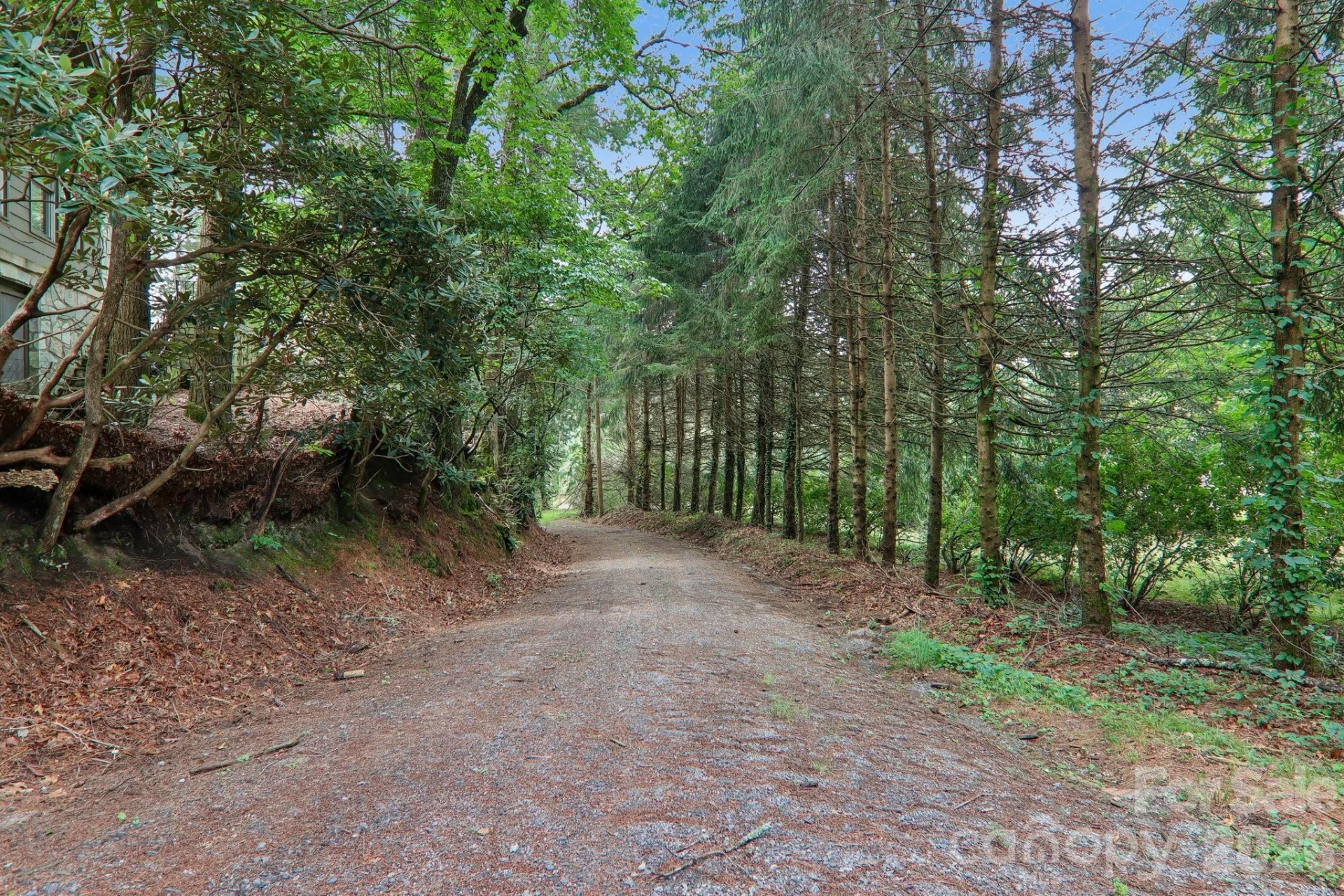 61 Bo Diddly Lane - Photo 41