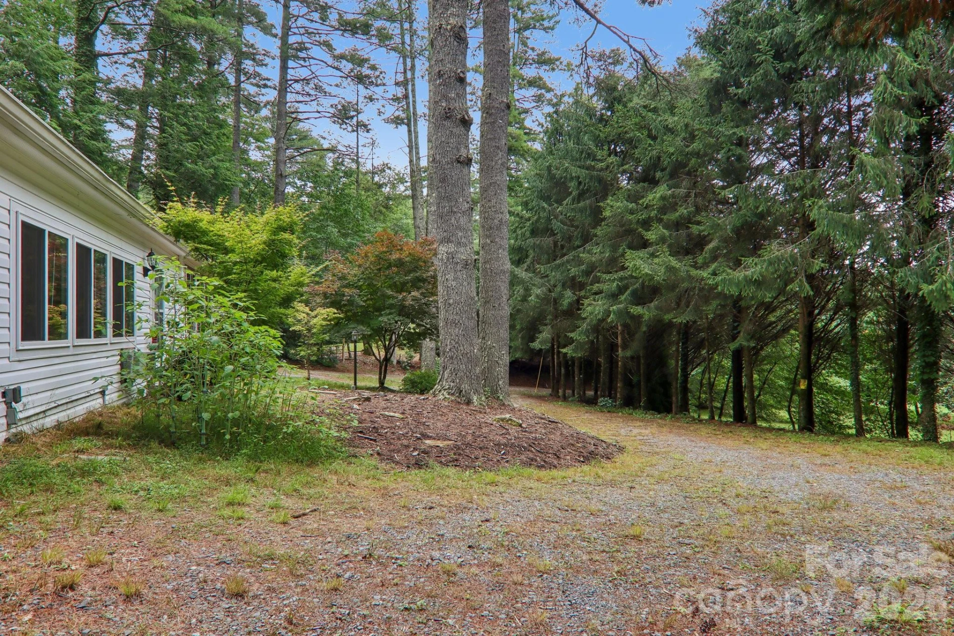 61 Bo Diddly Lane - Photo 45