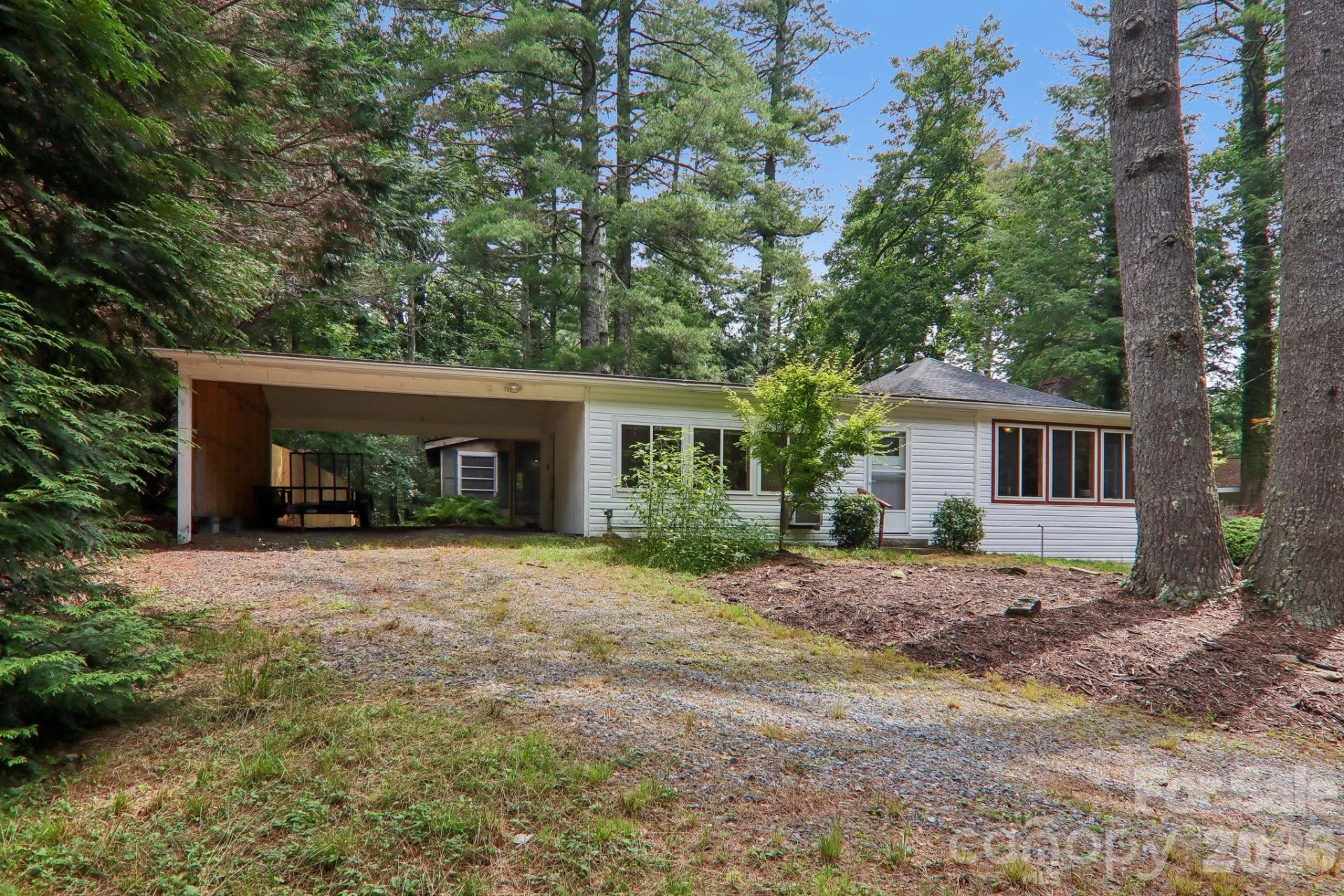 61 Bo Diddly Lane - Photo 6