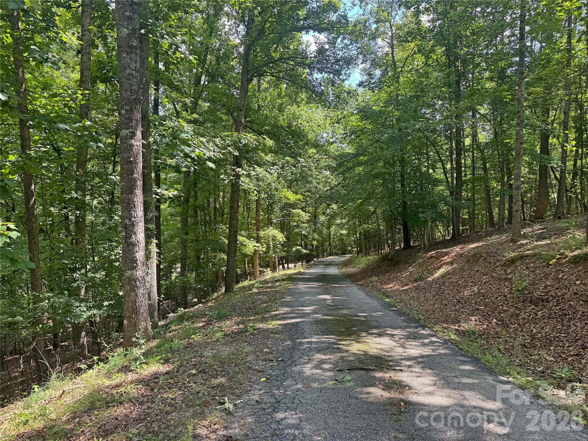 173 Croom Hollow Drive - Photo 34