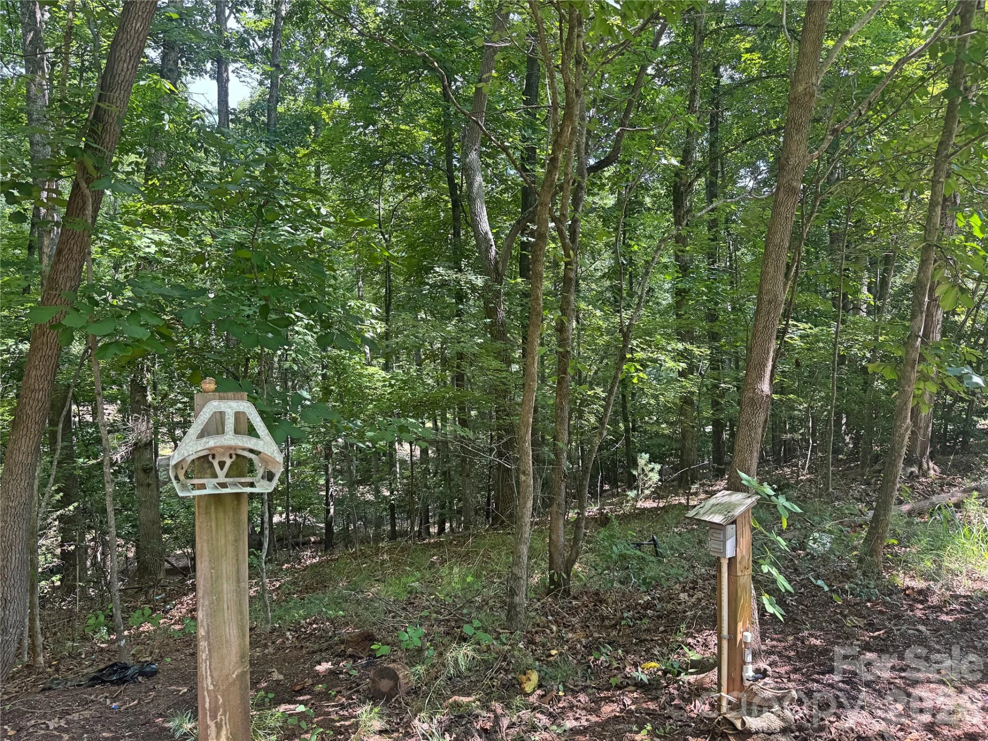 173 Croom Hollow Drive - Photo 36