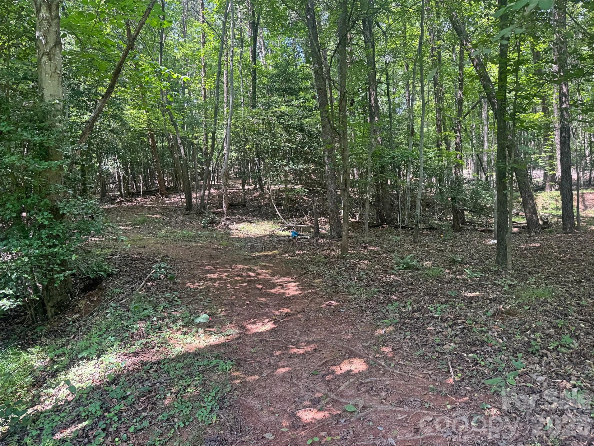 173 Croom Hollow Drive - Photo 38