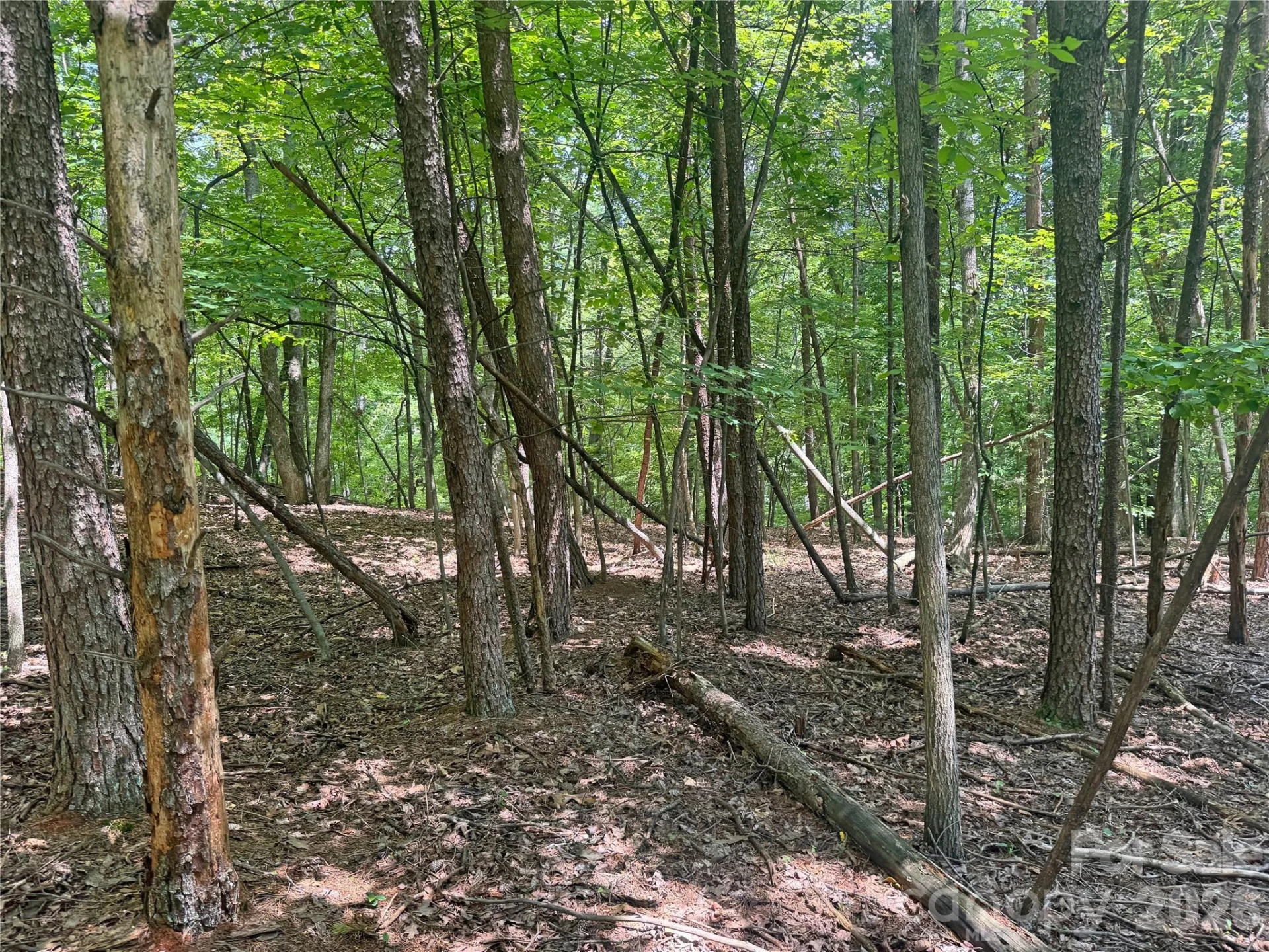 173 Croom Hollow Drive - Photo 43