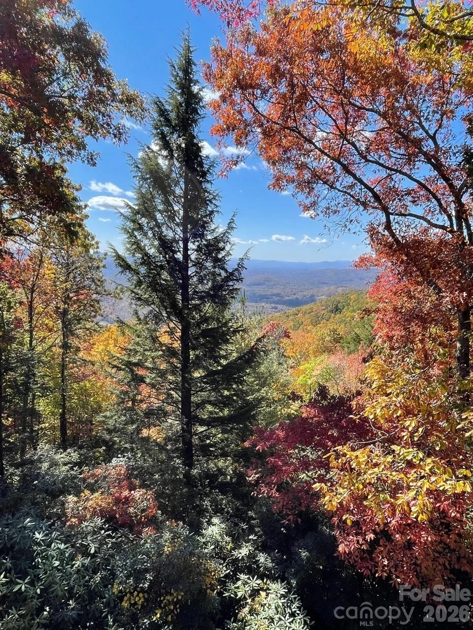 425 Flat Top Mountain Road - Photo 42
