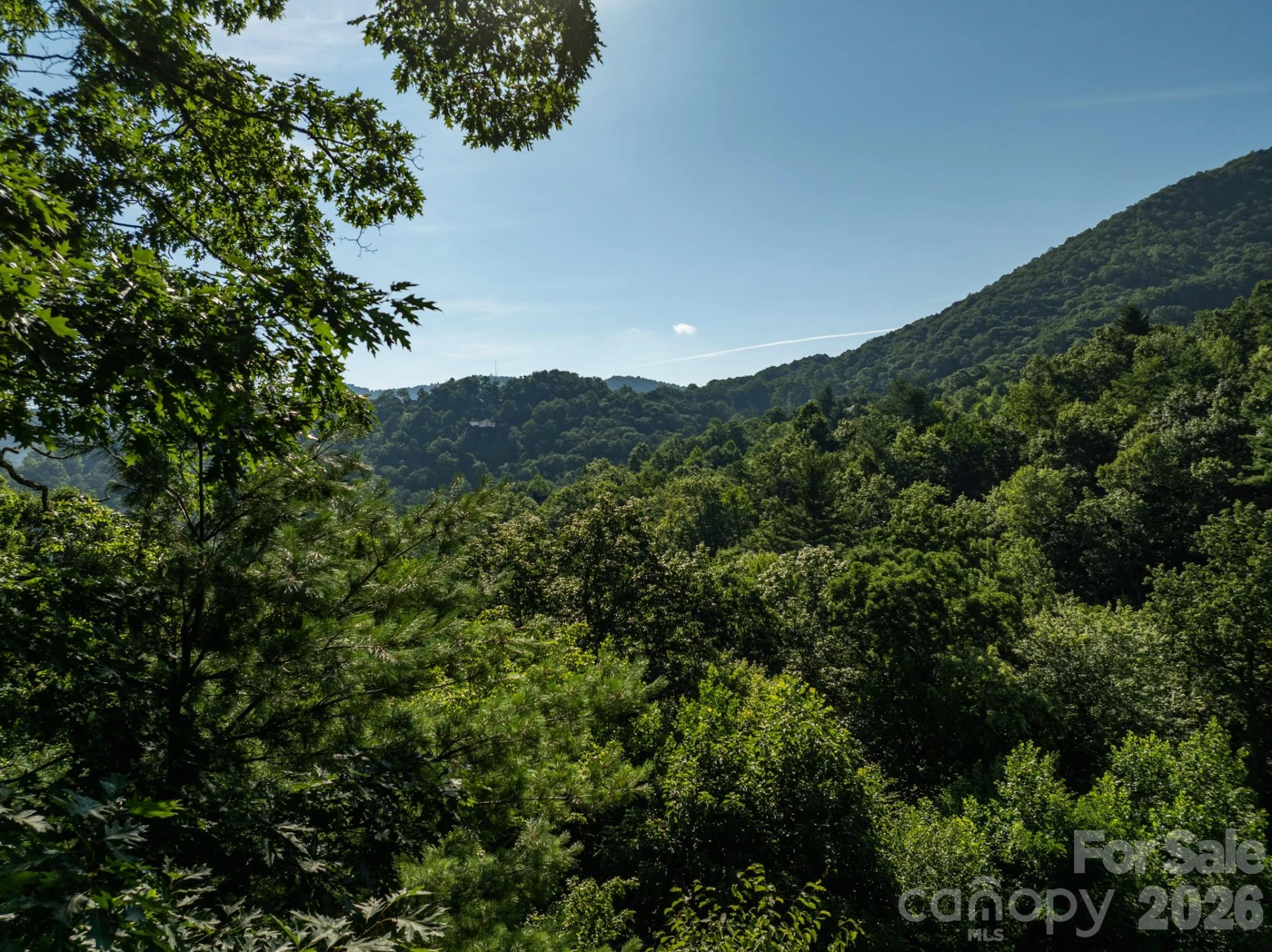 59 Old Greybeard Loop - Photo 2
