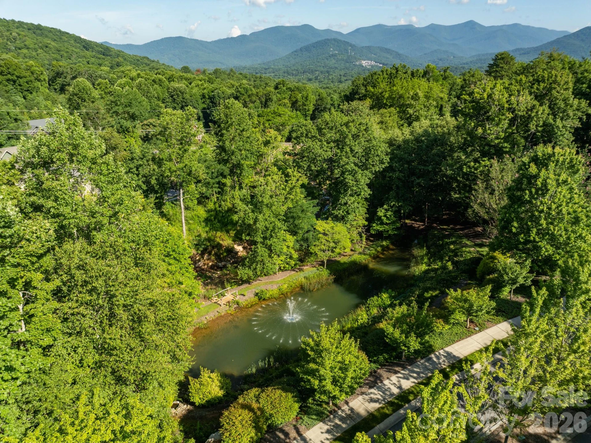 59 Old Greybeard Loop - Photo 16