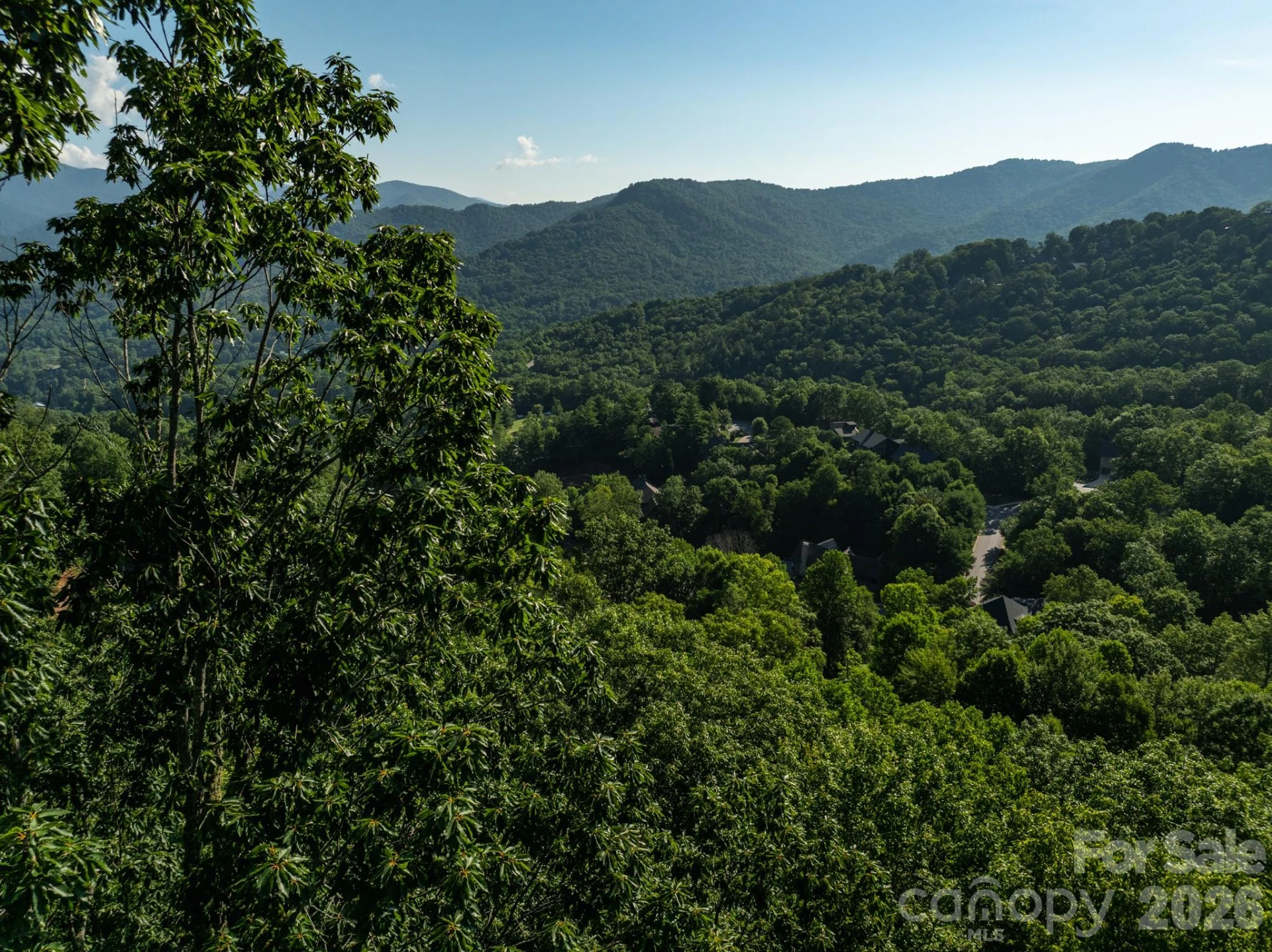 59 Old Greybeard Loop - Photo 18