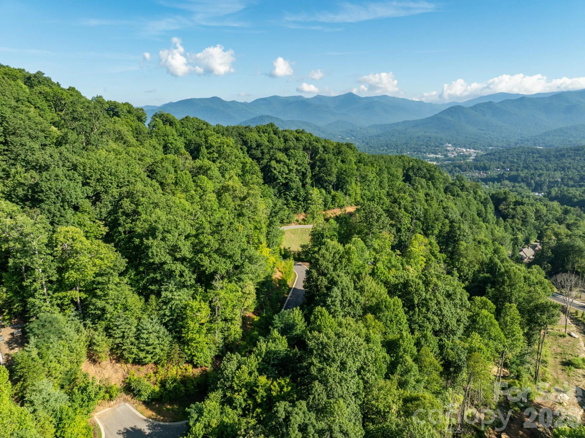 59 Old Greybeard Loop - Photo 4