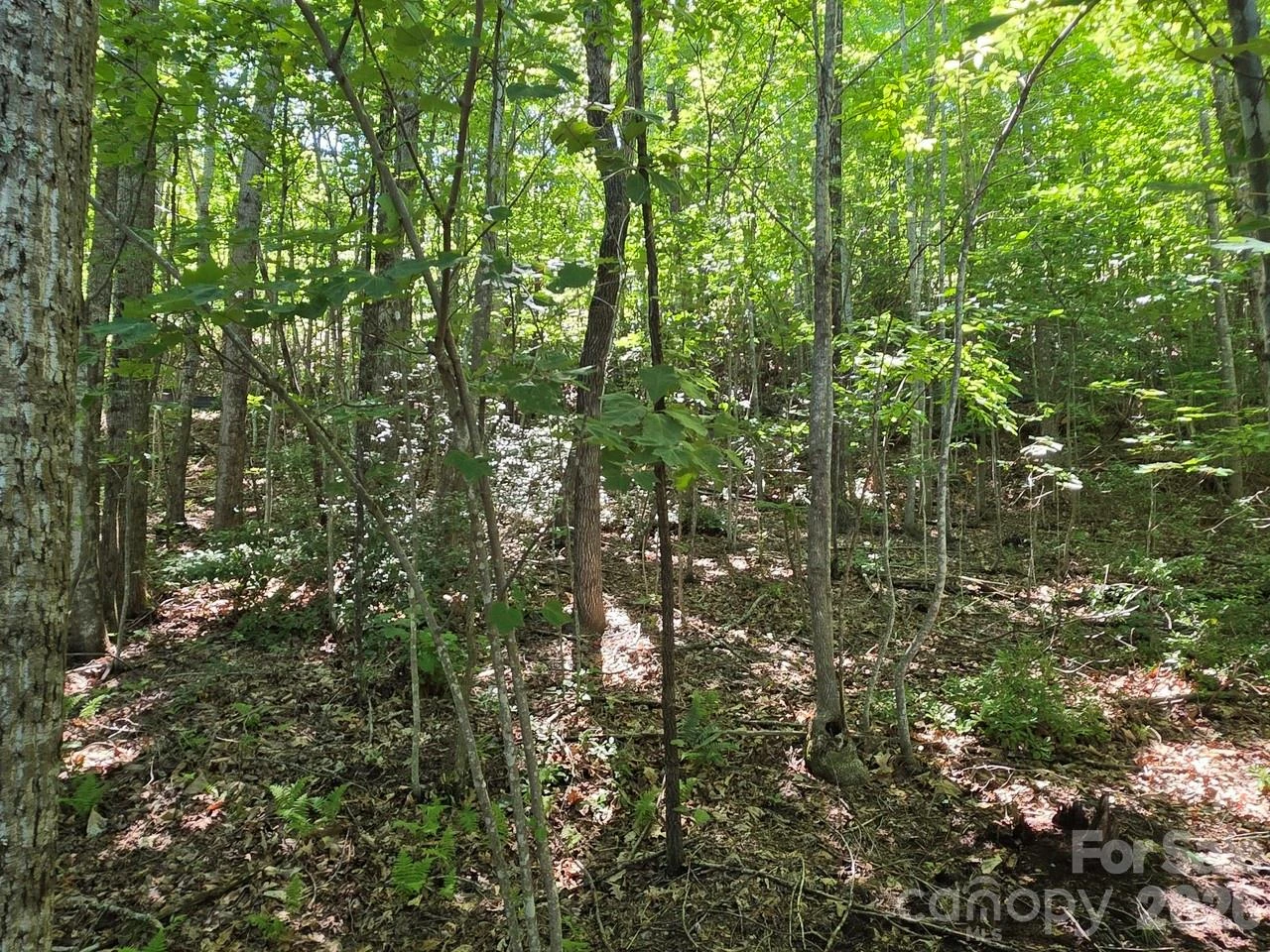 52 Big View Drive - Photo 11