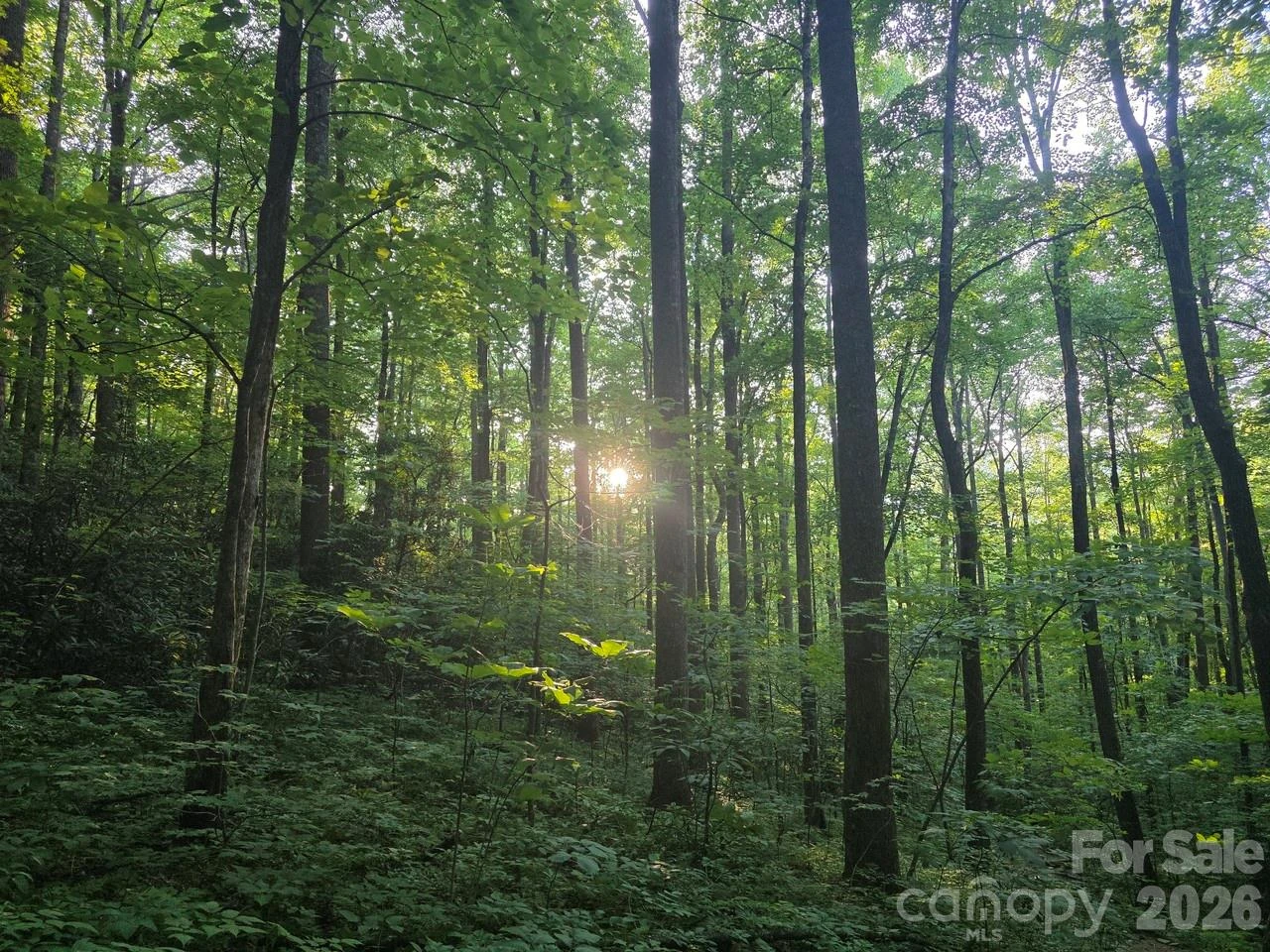 52 Big View Drive - Photo 4