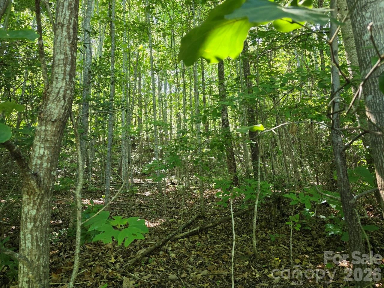 52 Big View Drive - Photo 9