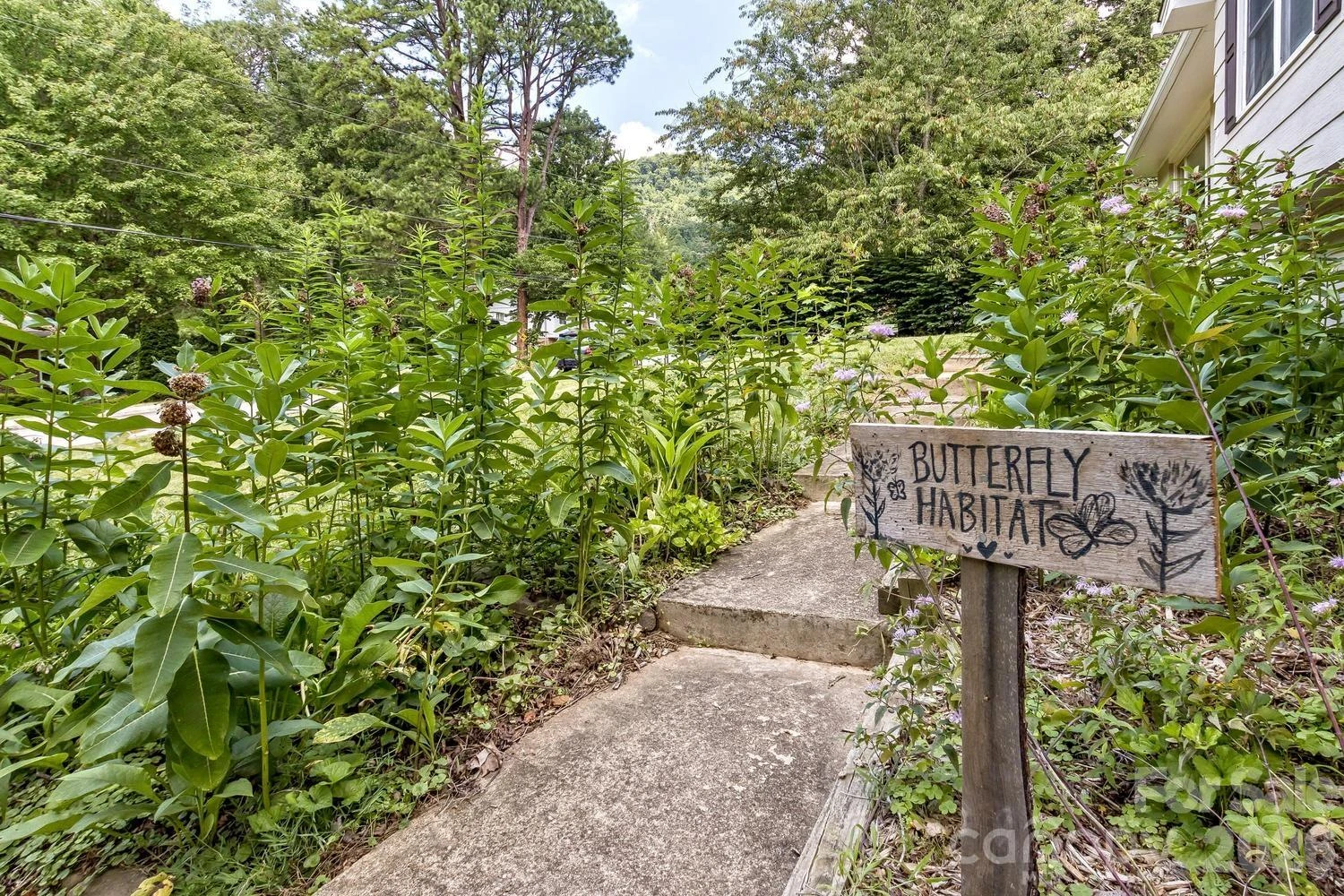 17 Rhododendron Place - Photo 4