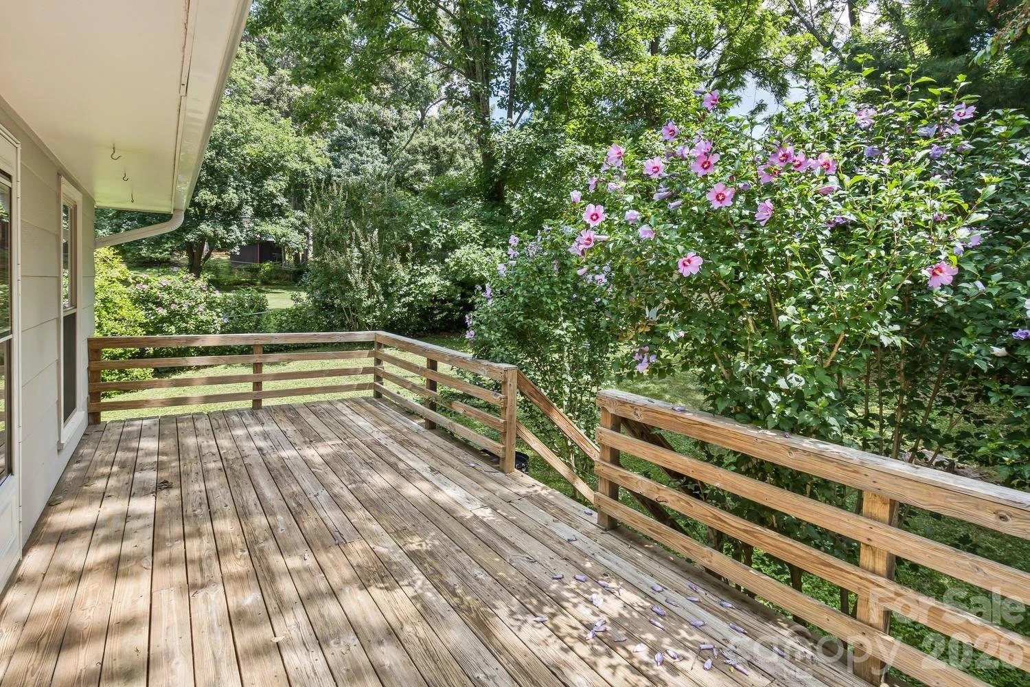 17 Rhododendron Place - Photo 30