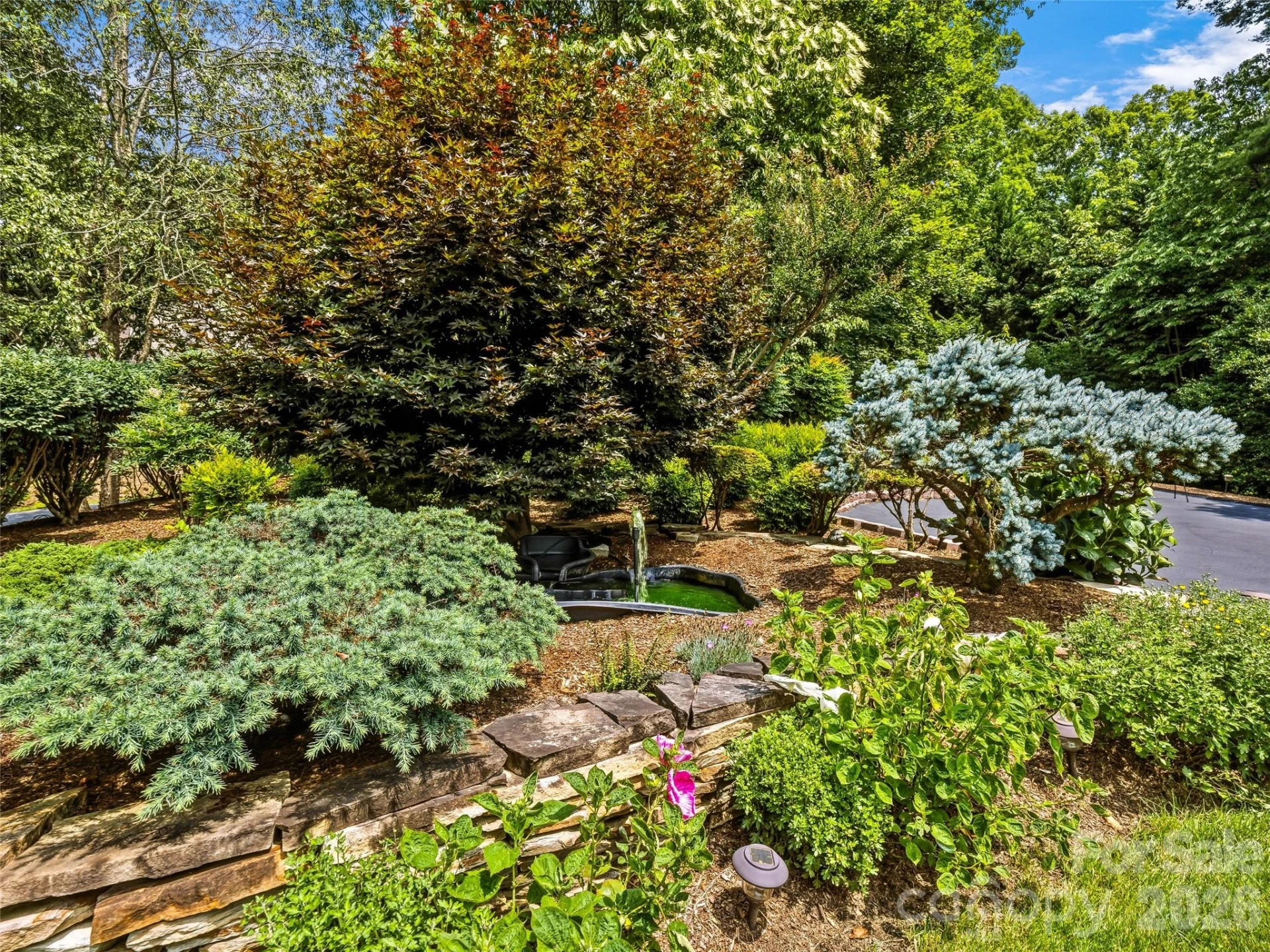 200 Teaberry Lane - Photo 8