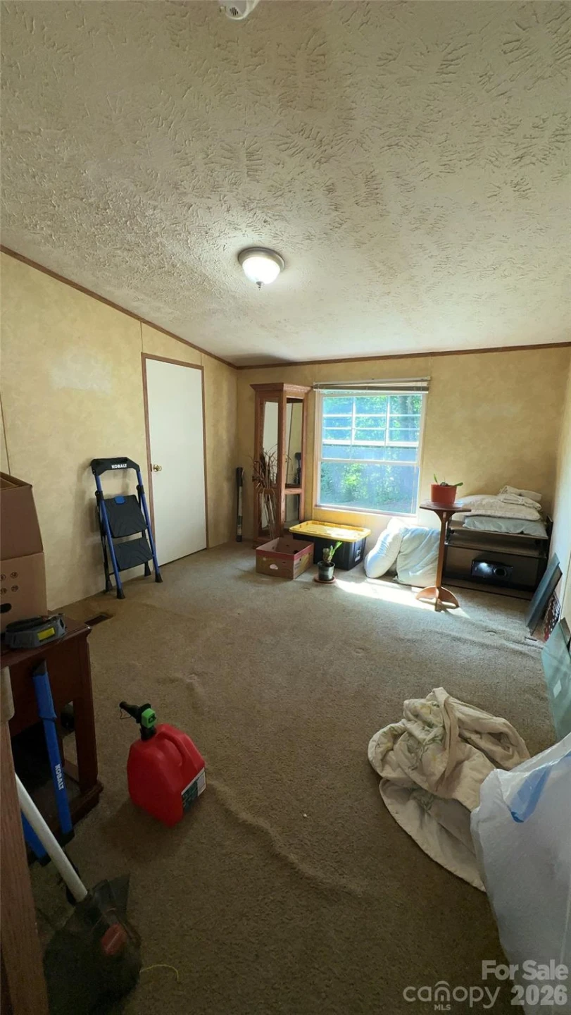 294 E Lester Lane - Photo 10