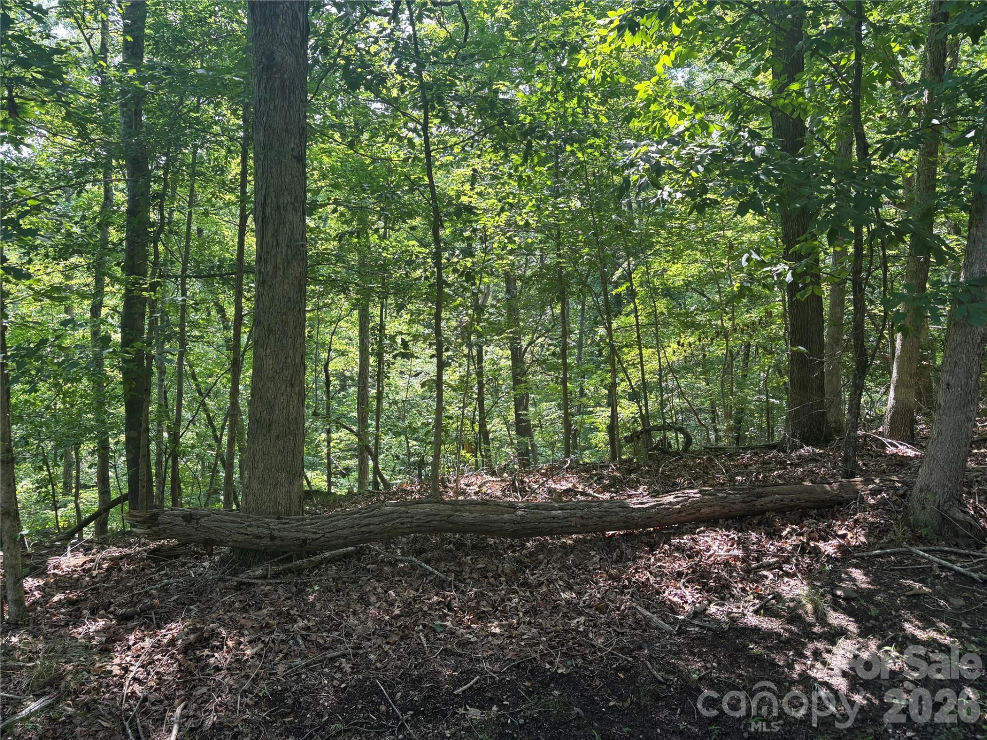 Lot 13 Crab Apple Court - Photo 2