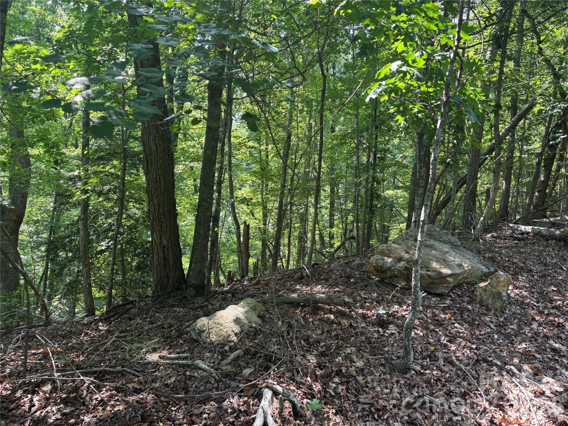 Lot 13 Crab Apple Court - Photo 3