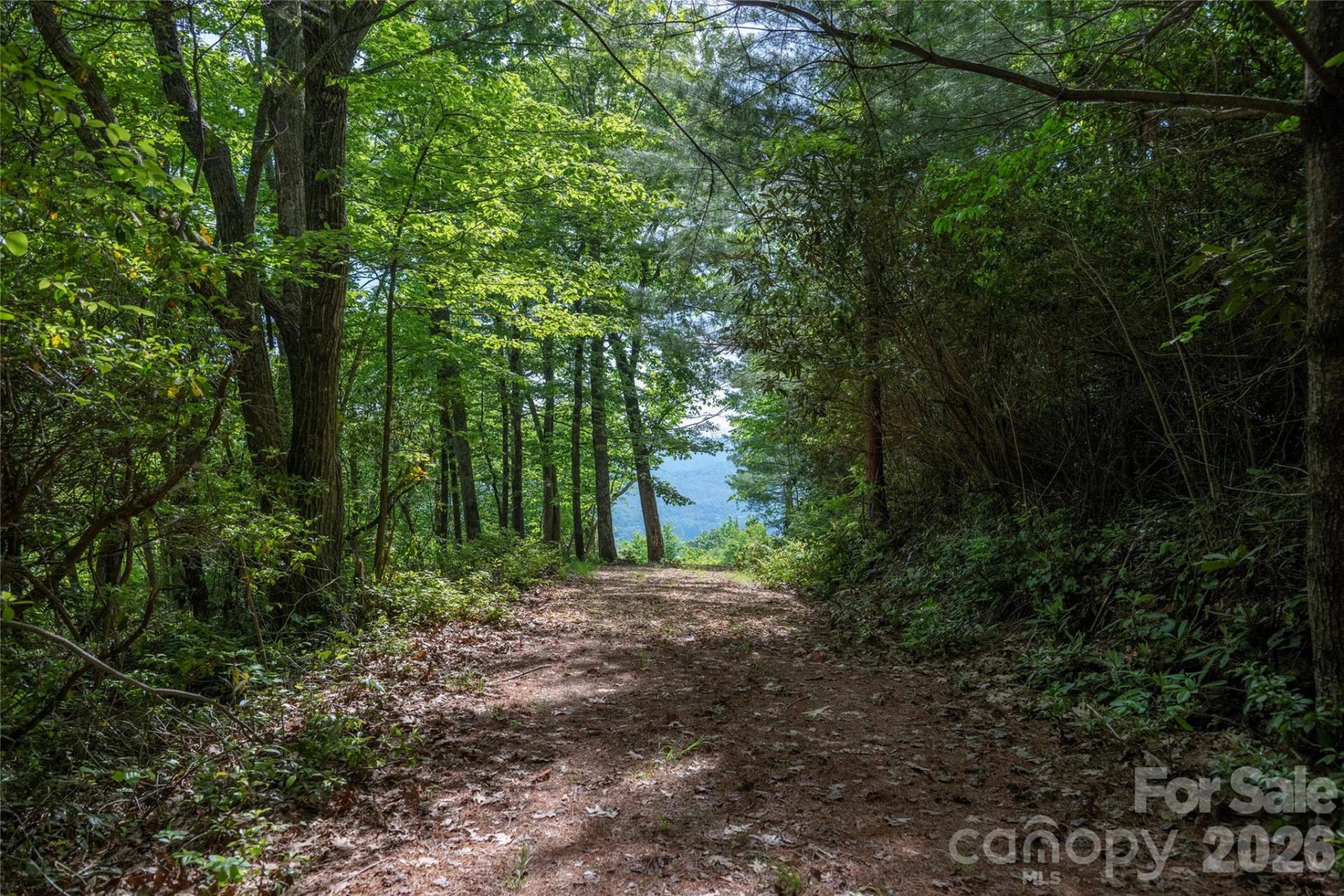 Lot 114R Toxaway Drive - Photo 2