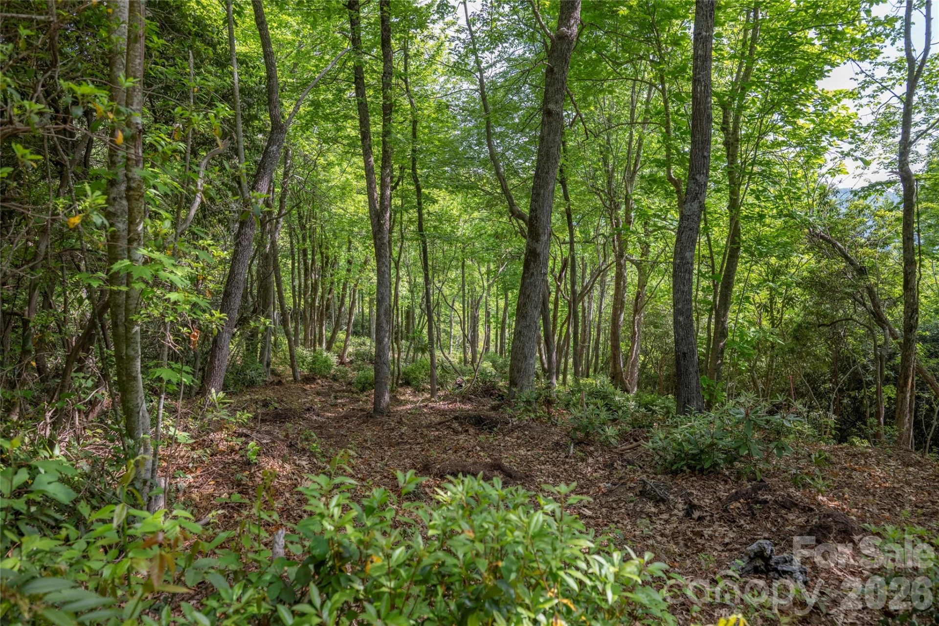 Lot 114R Toxaway Drive - Photo 3