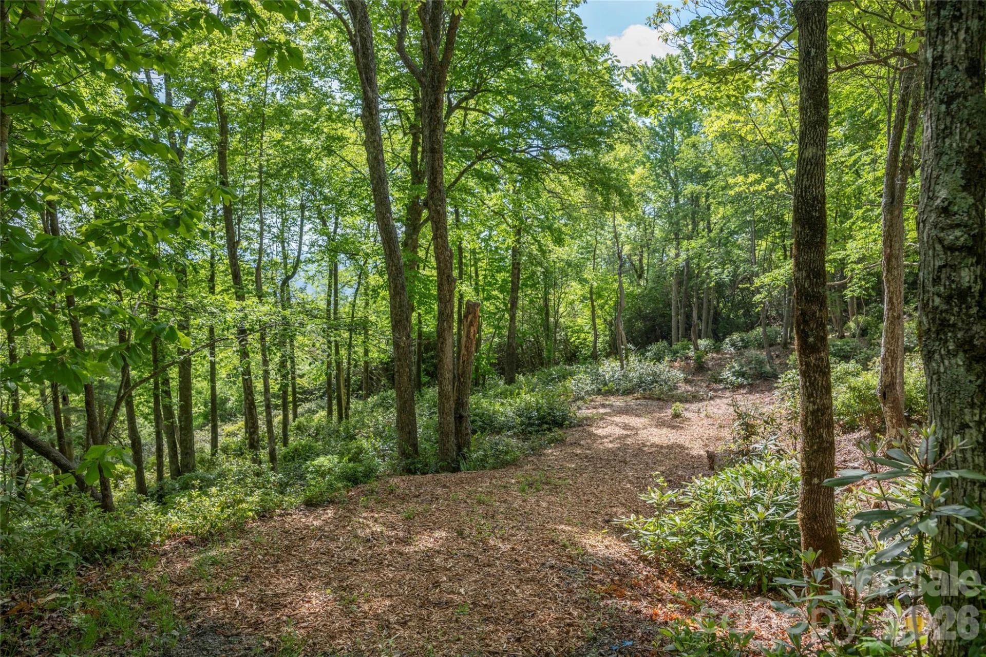 Lot 114R Toxaway Drive - Photo 6