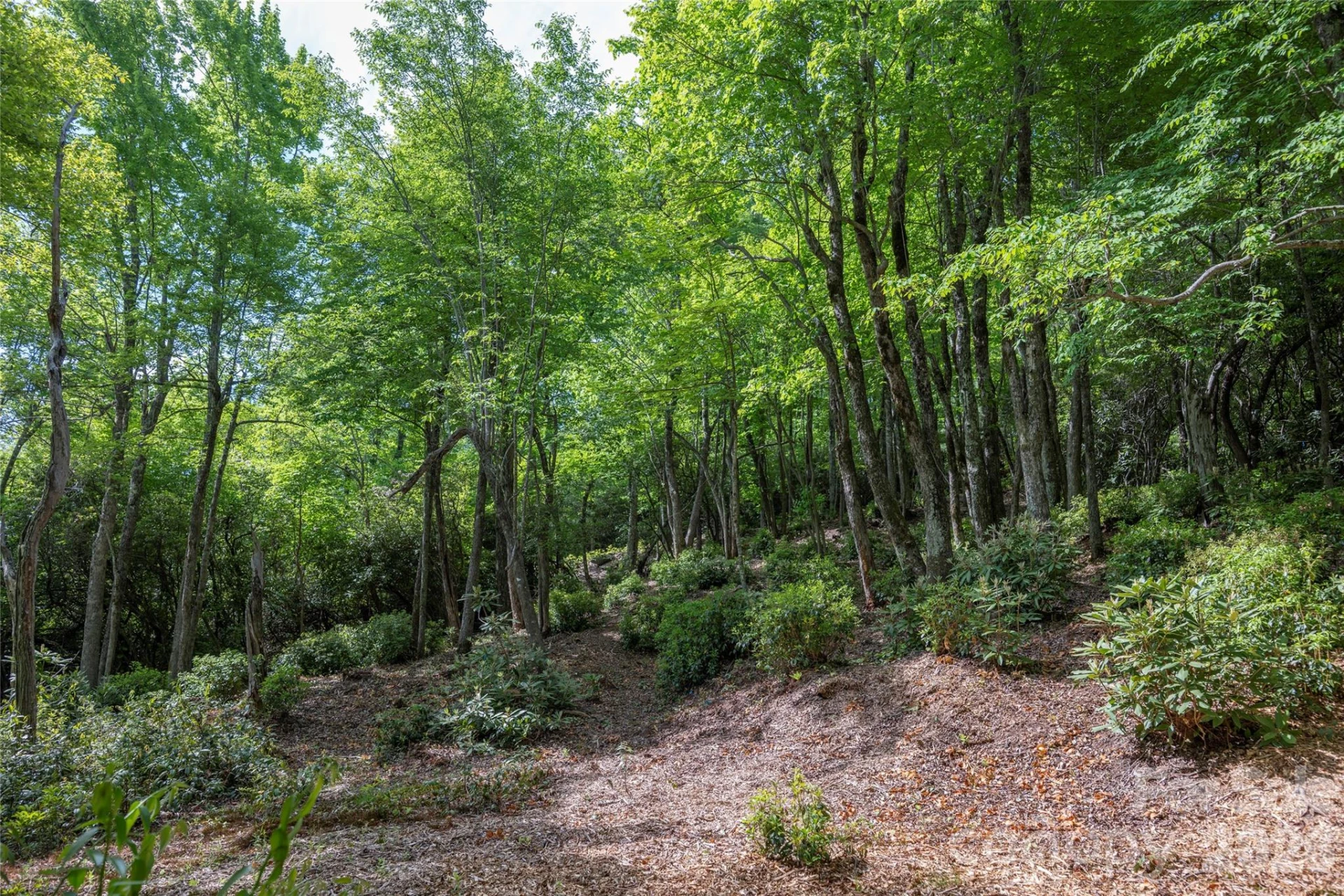 Lot 114R Toxaway Drive - Photo 7