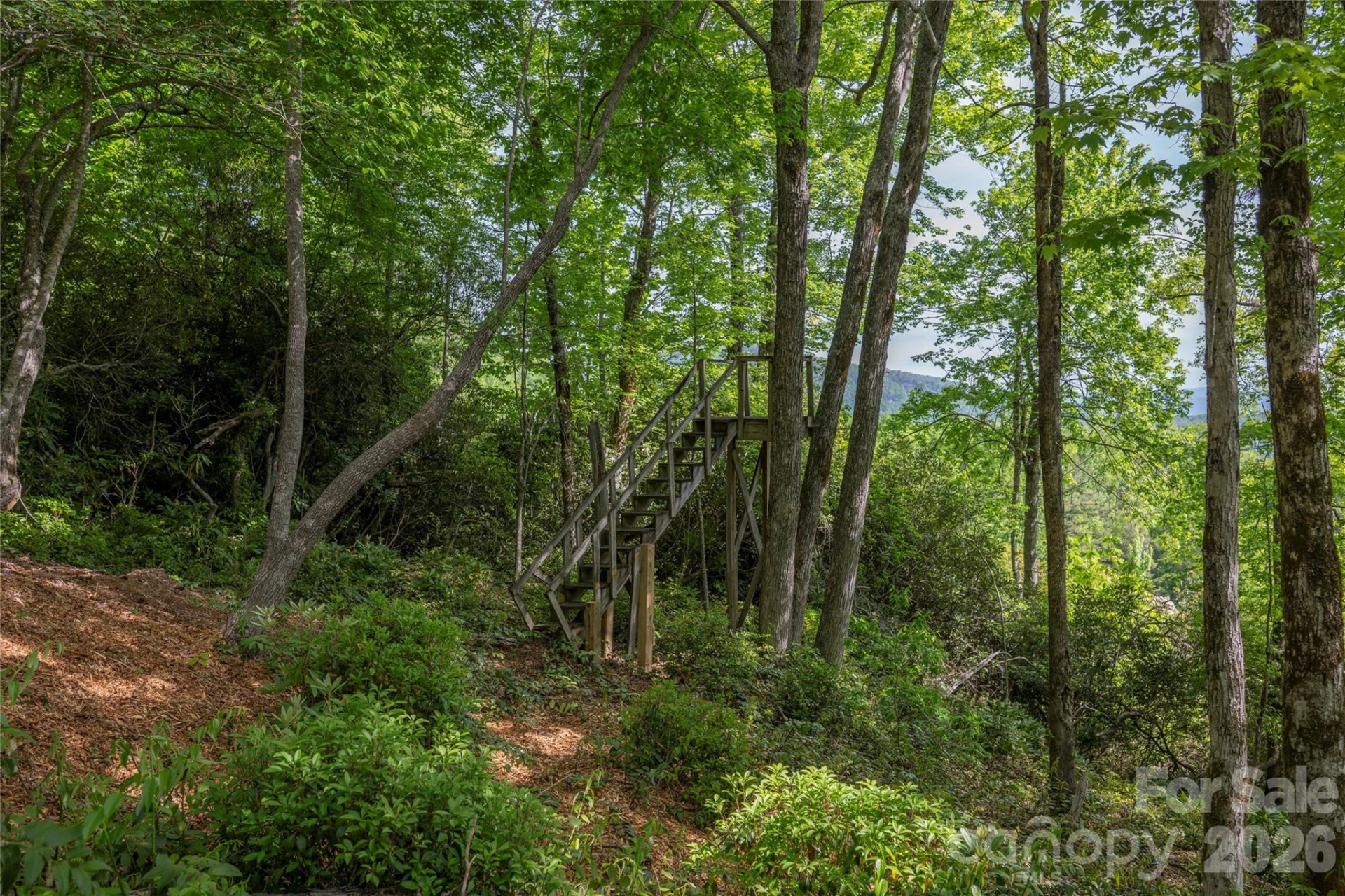 Lot 114R Toxaway Drive - Photo 8