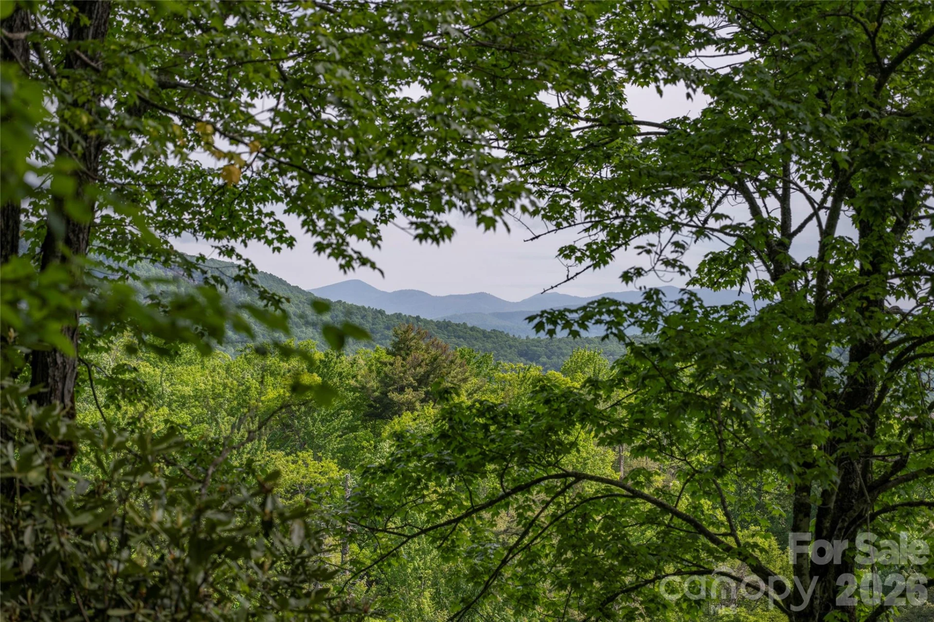 Lot 114R Toxaway Drive - Photo 9