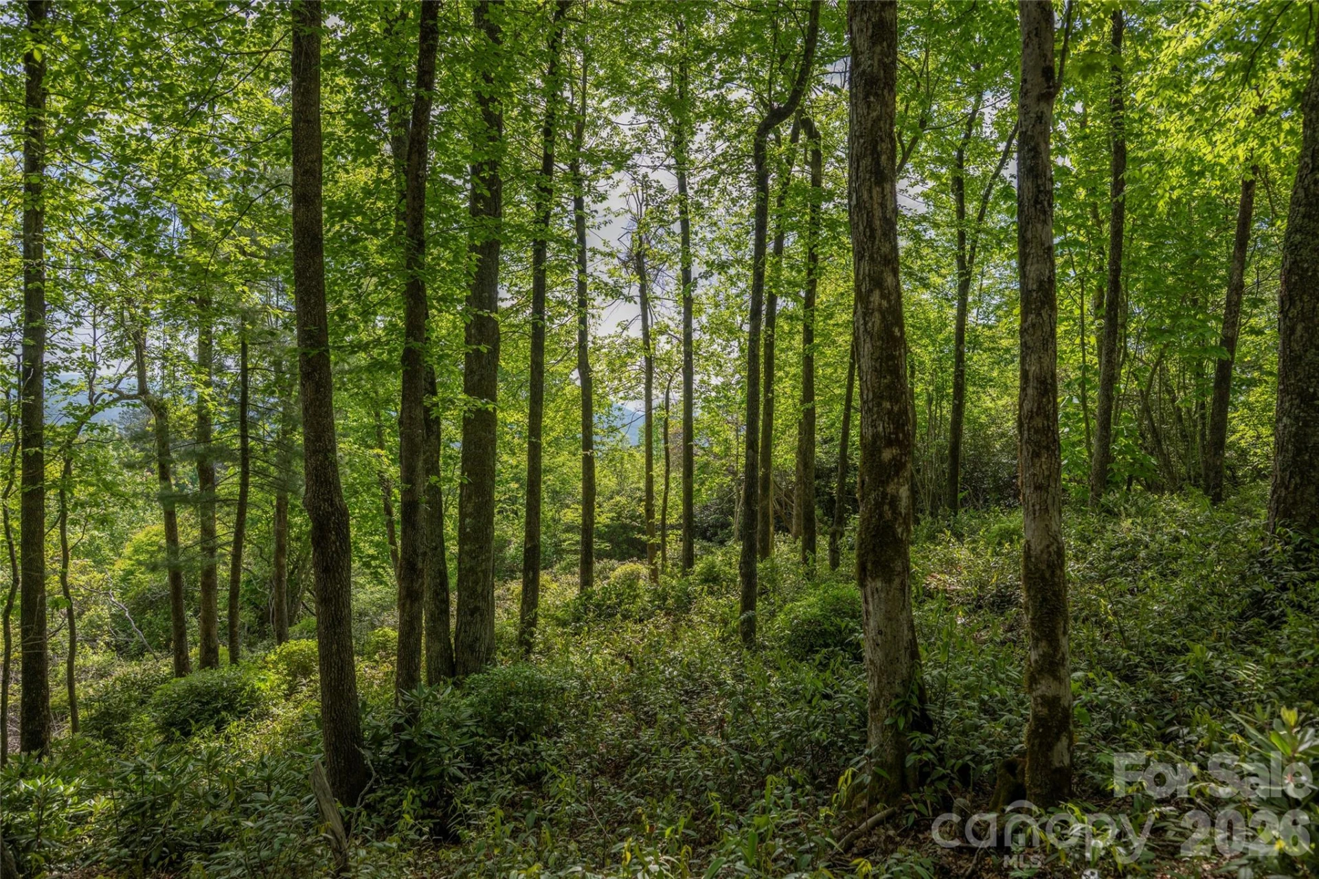 Lot 114R Toxaway Drive - Photo 10
