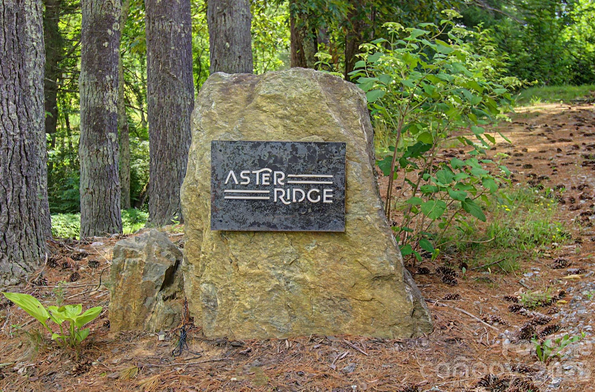34 Aster Ridge Drive - Photo 47